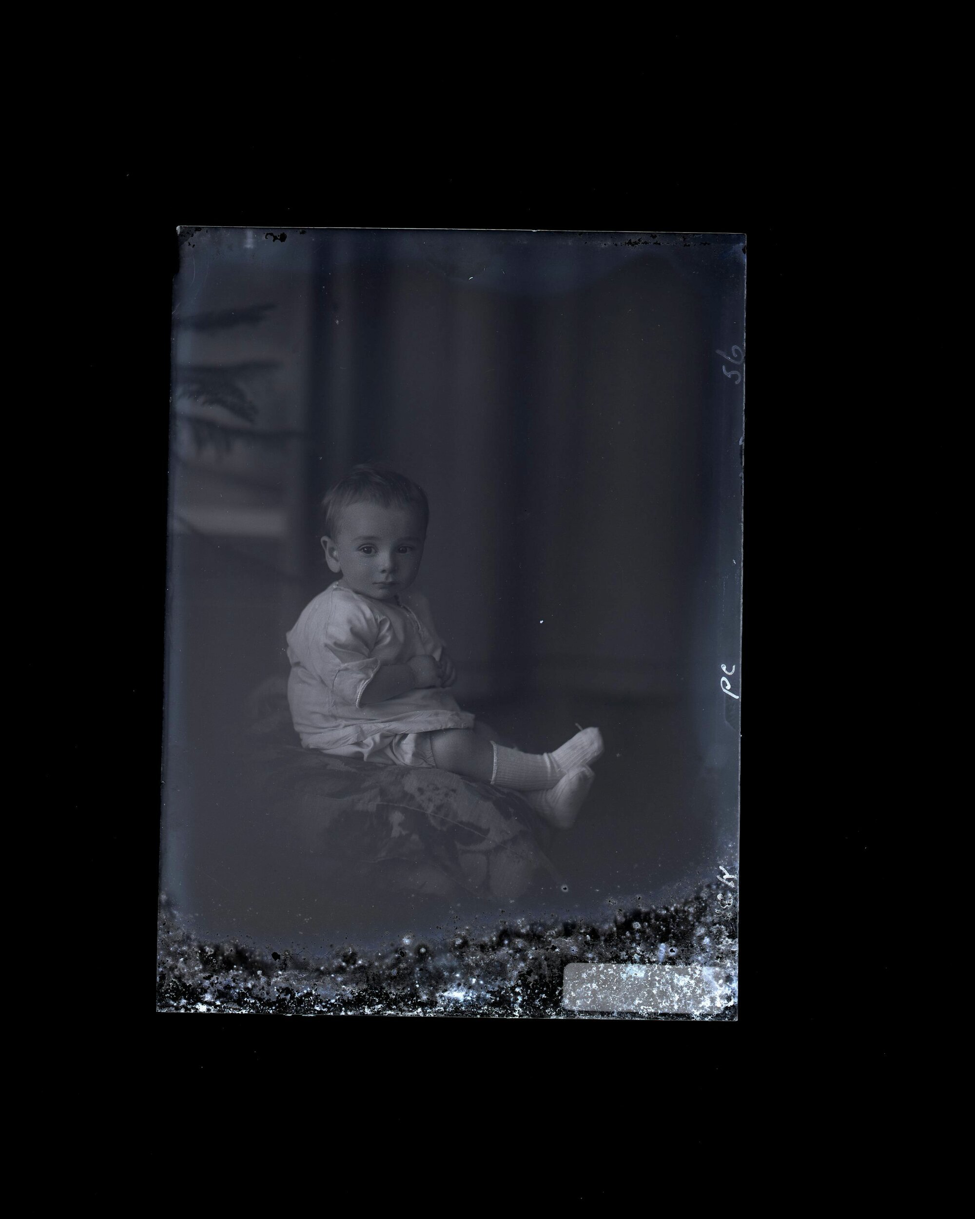Toddler - No Name