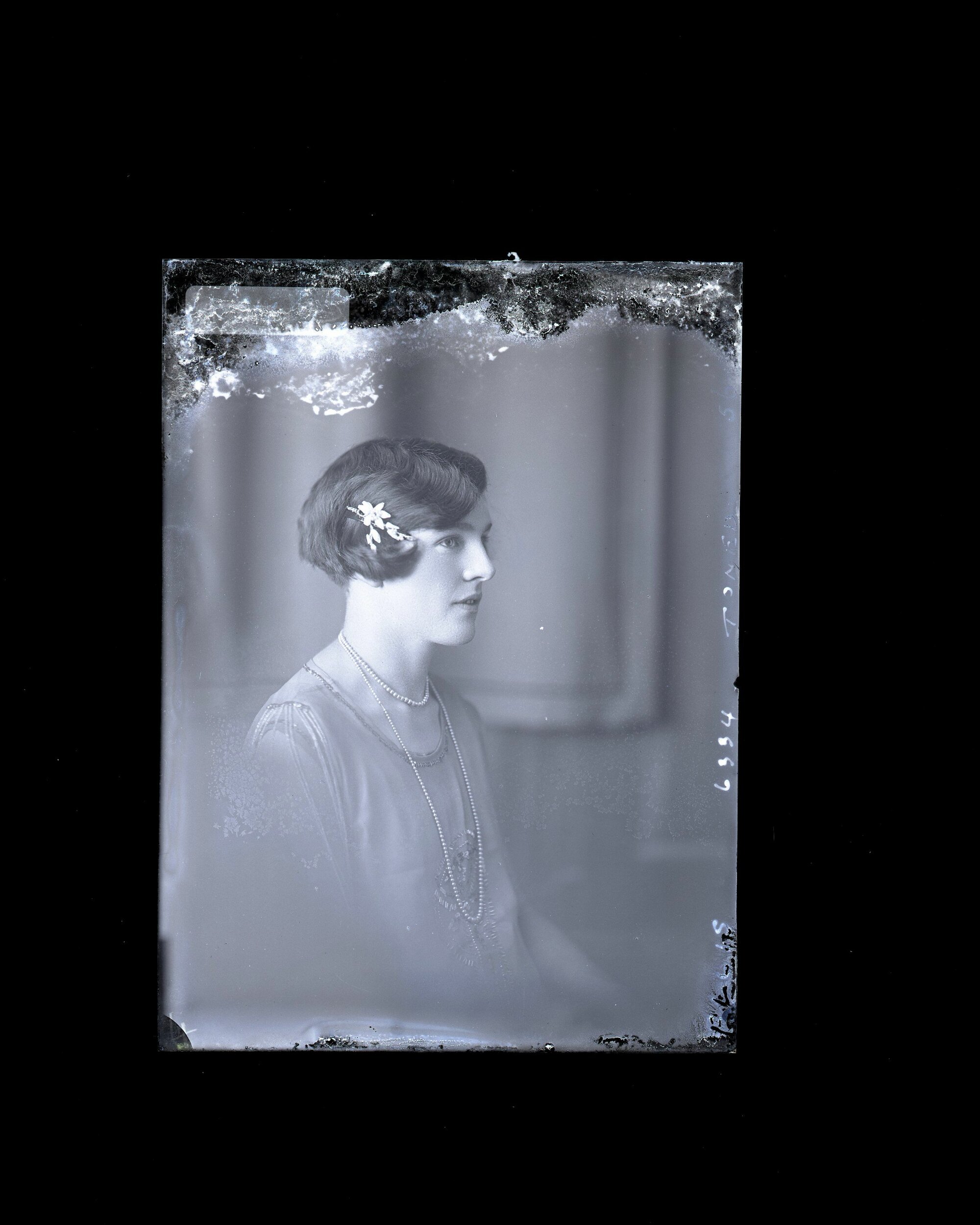 Woman - Ellis