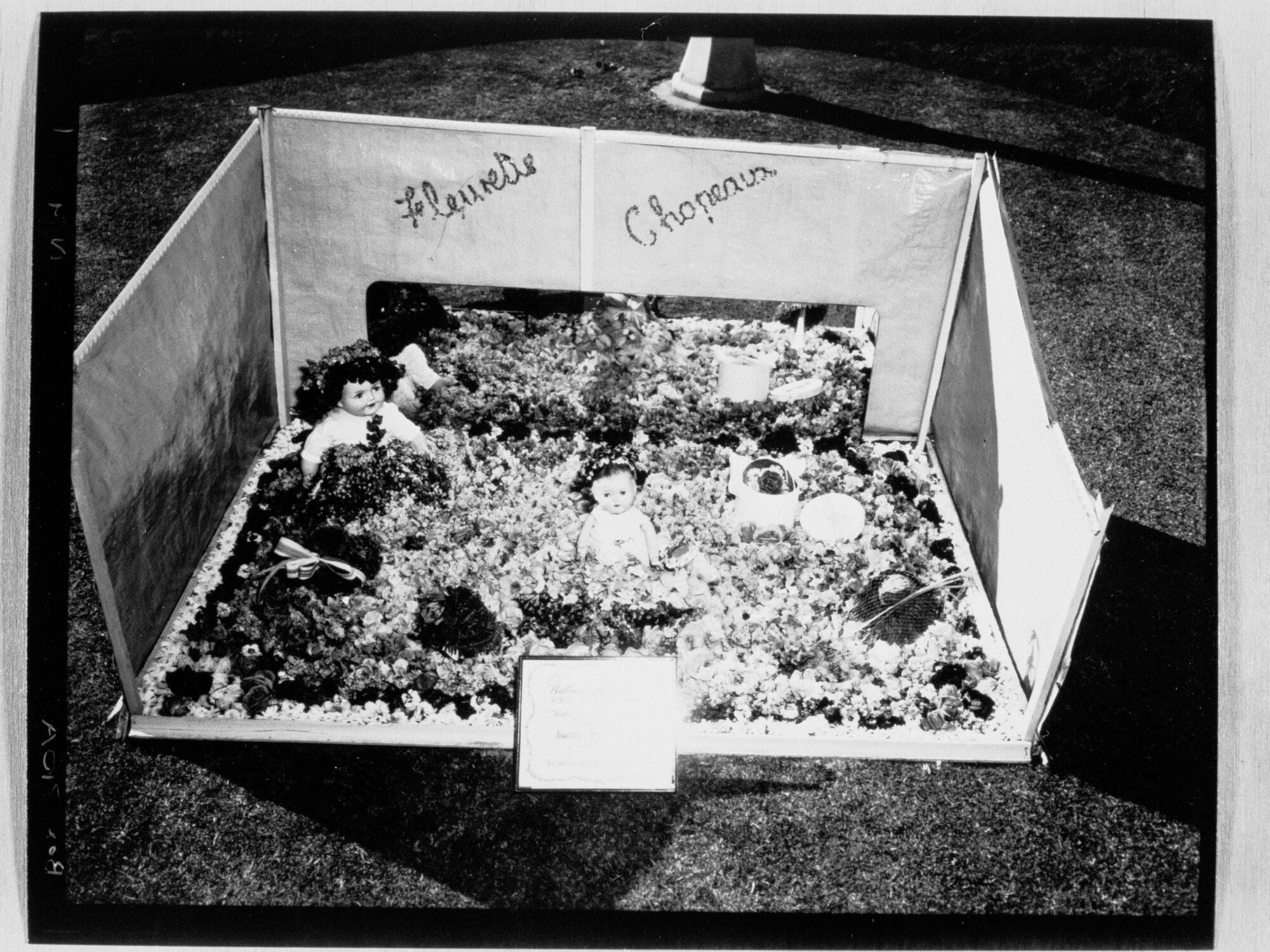 National Flower Day Festival held in Adelaide on the 21st September 1949