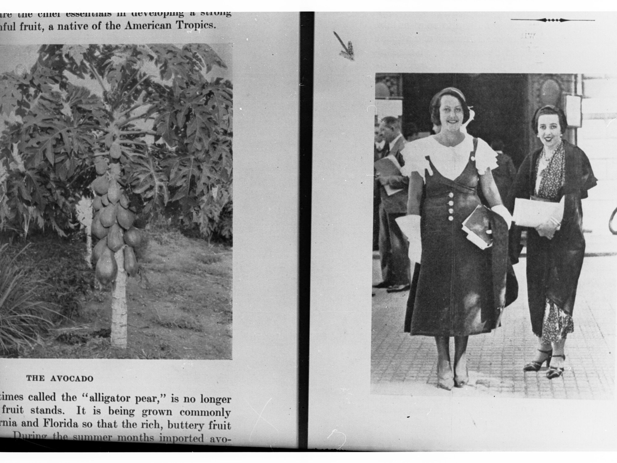 Photograph of Two Ladies