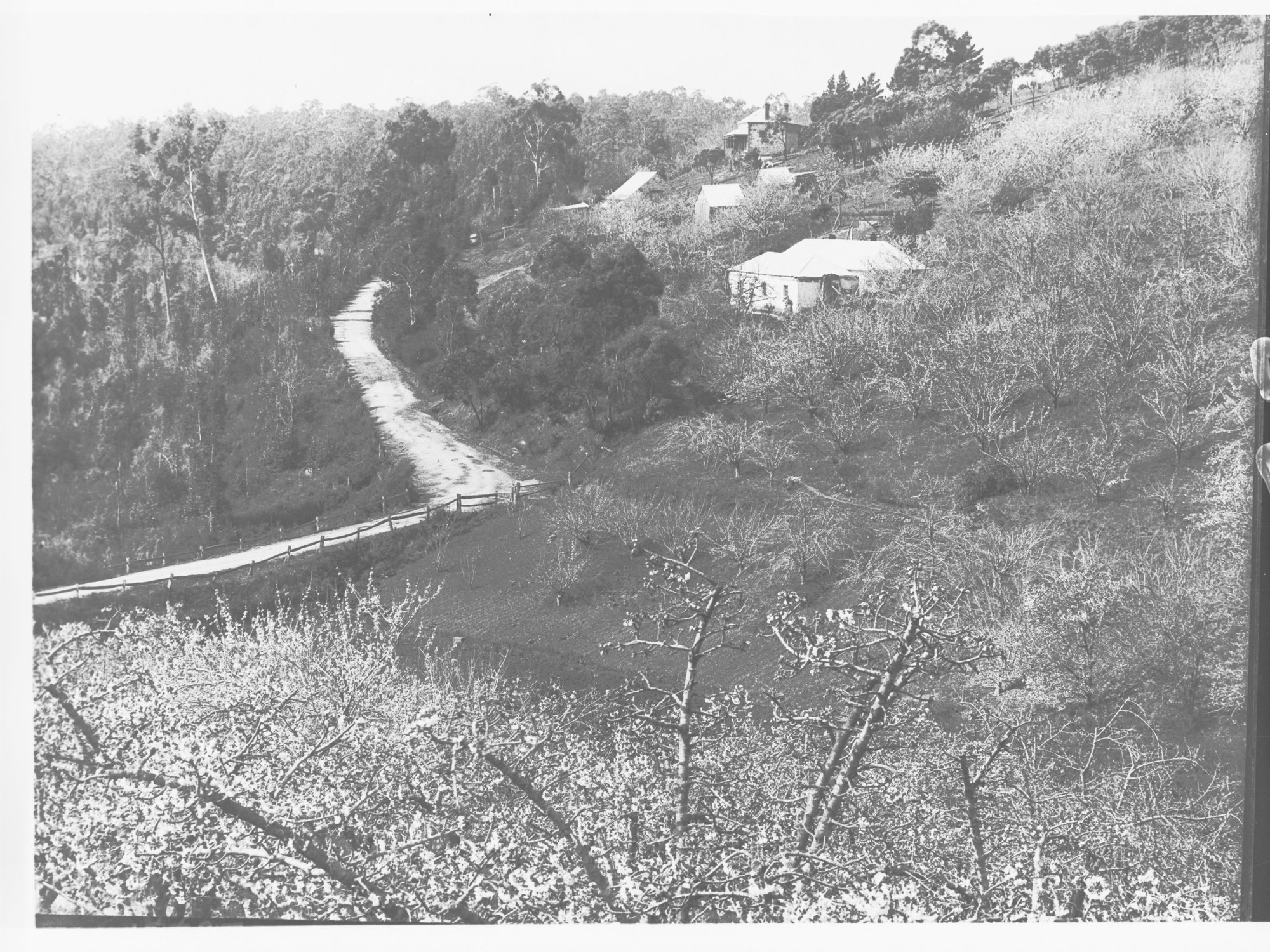 Norton Summit - Old road near Grove Hill
