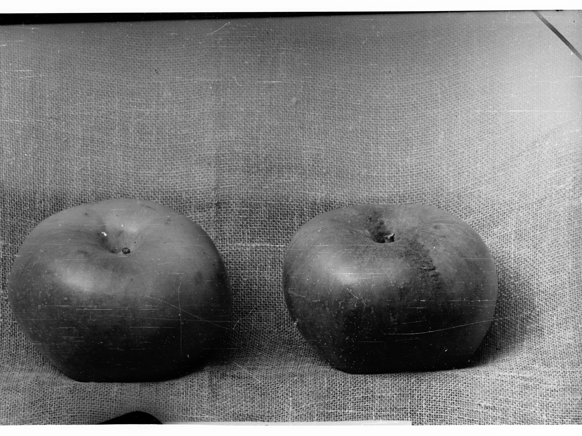 Photograph of Two Apples