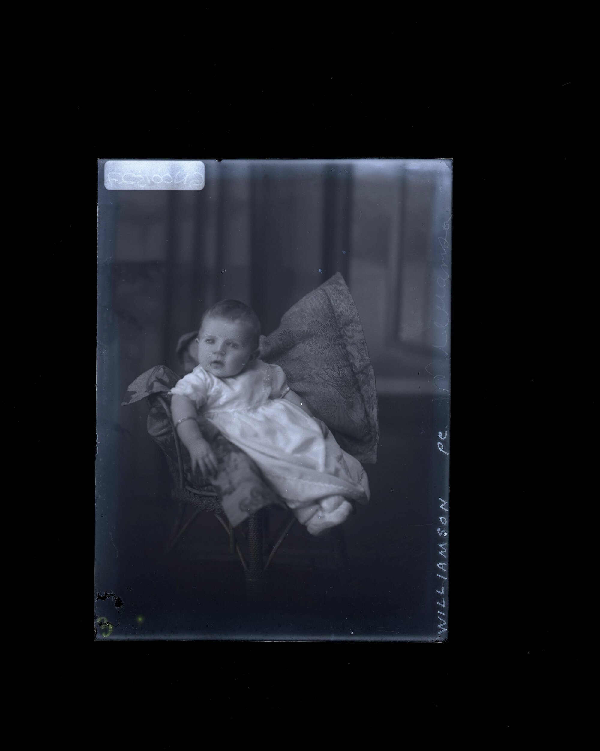 Infant - Williamson
