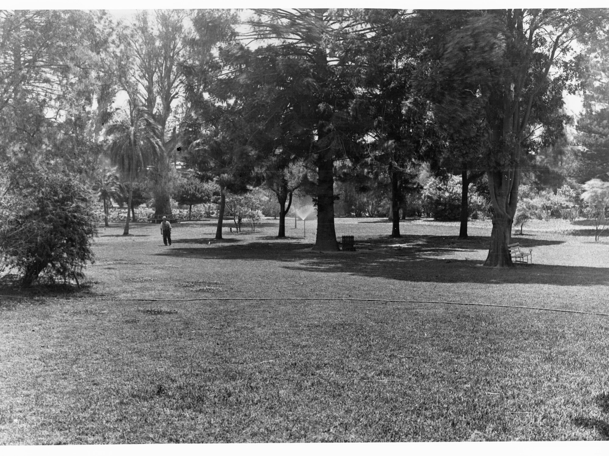 Botanic Gardens