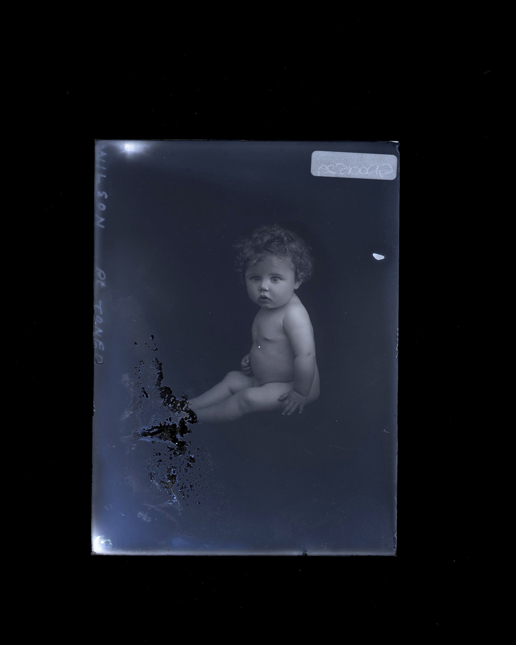 Infant - Wilson
