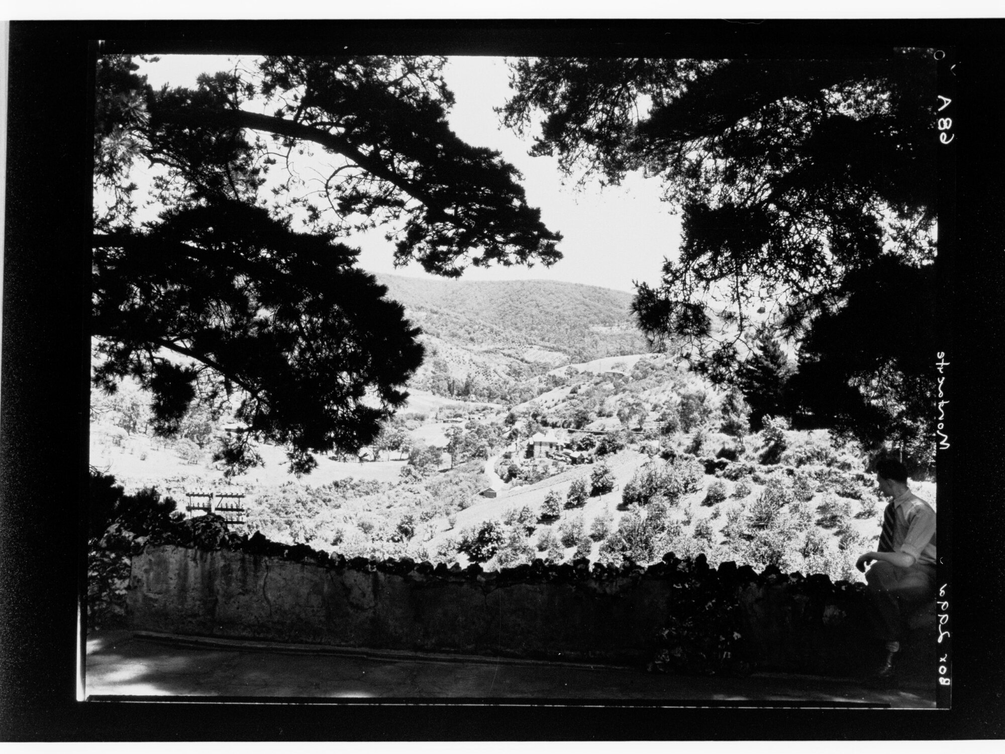 Montacute Valley from Marble Hill Road