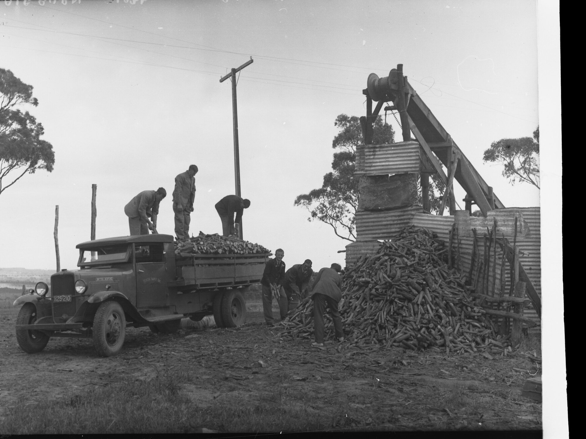 Men loading cut wood at Minda Home's Craigburn Farm, 1936