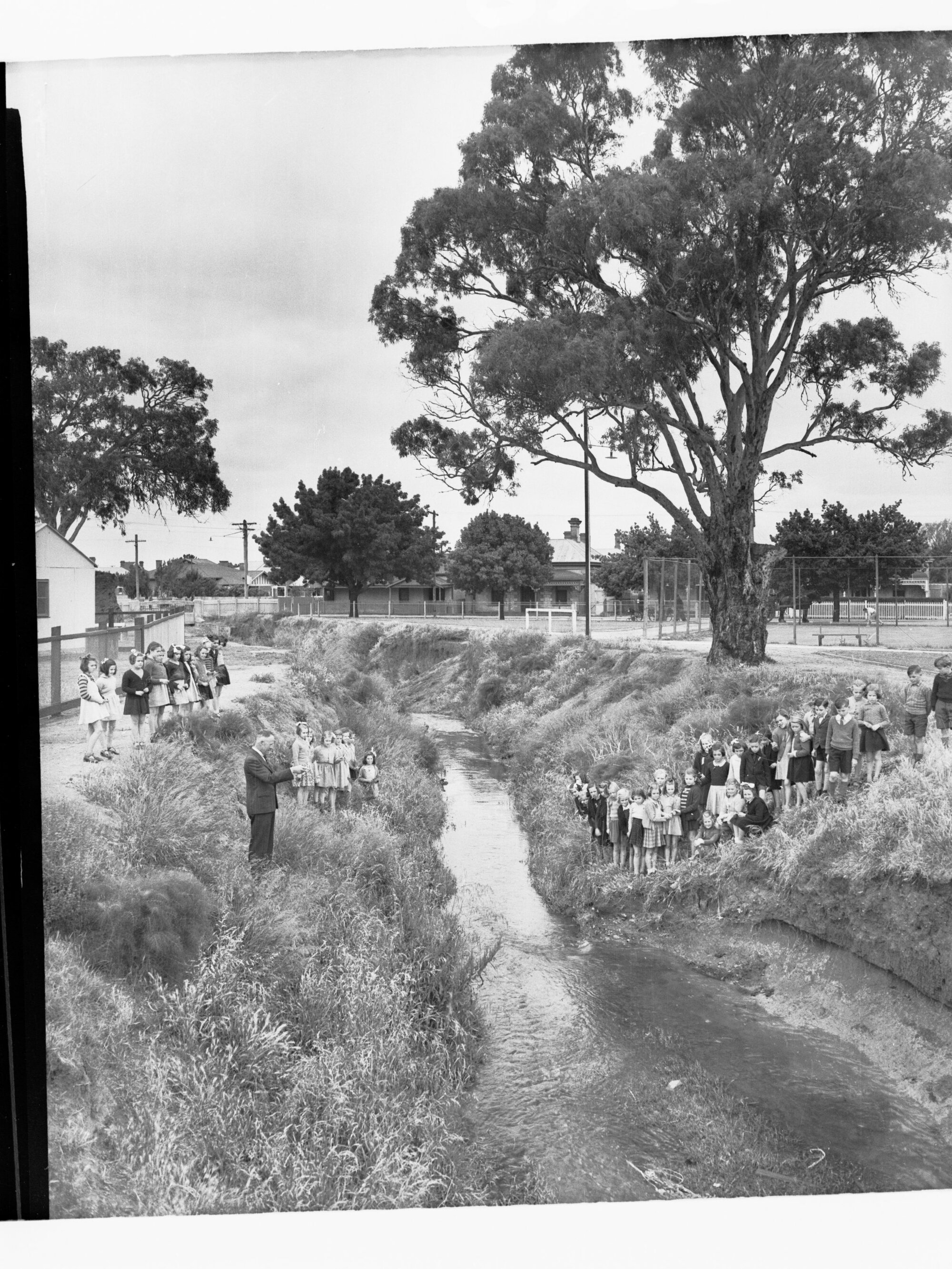 Children Standing in Groups Near a Creek With a Male Teacher