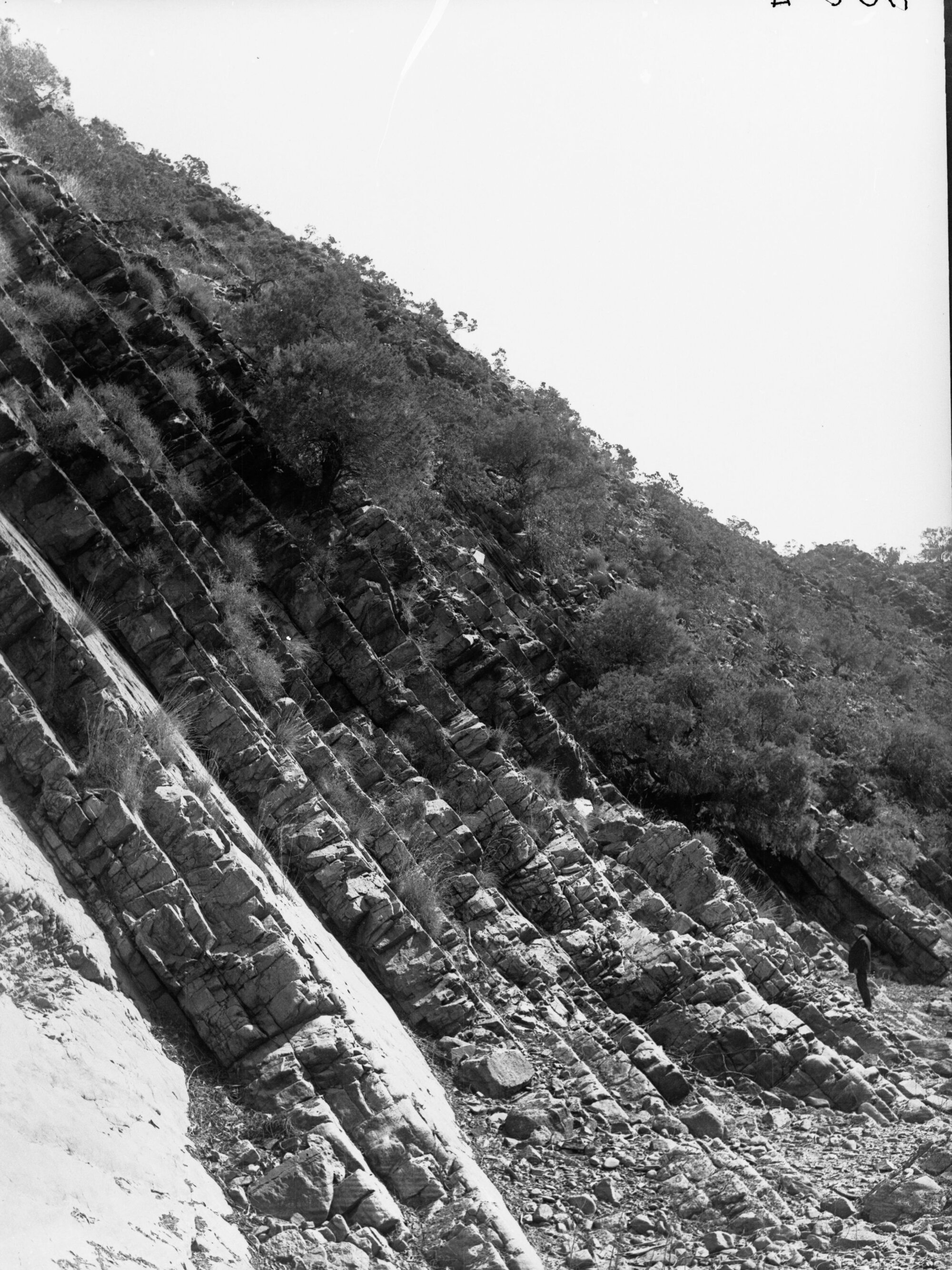 View from Windy Creek