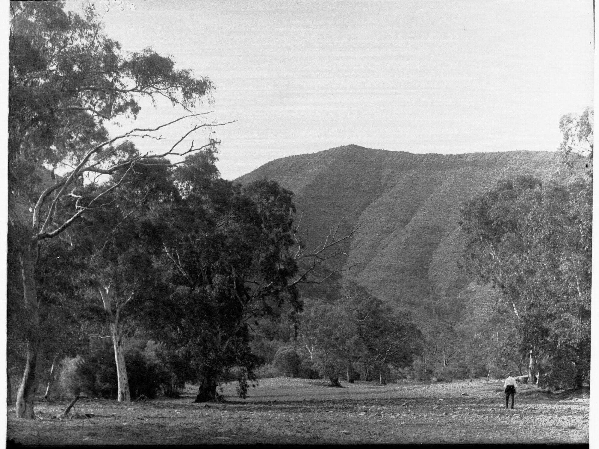 Flinders Ranges Aroona Heights near Leigh Creek