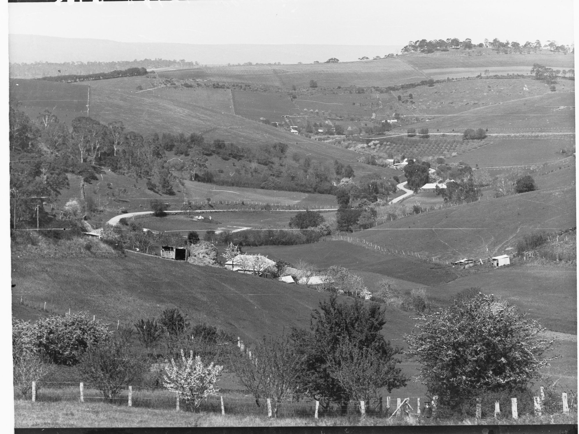 Overlooking Clarendon