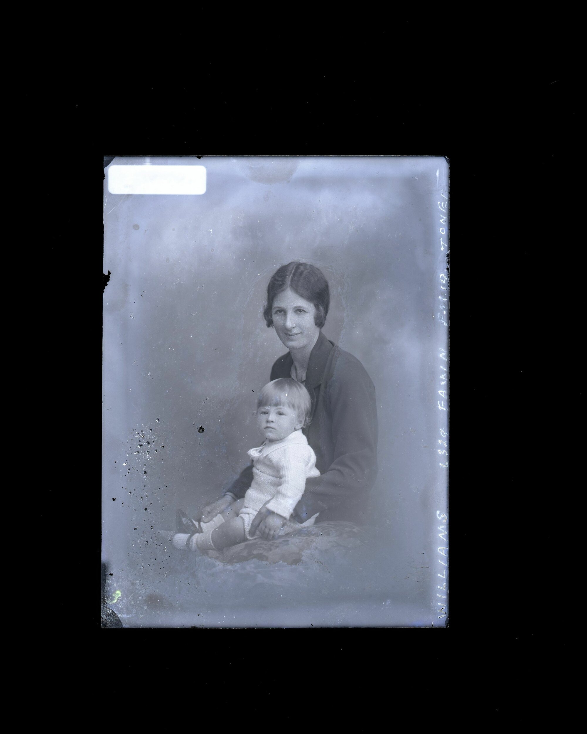 Mother and Child - Williams