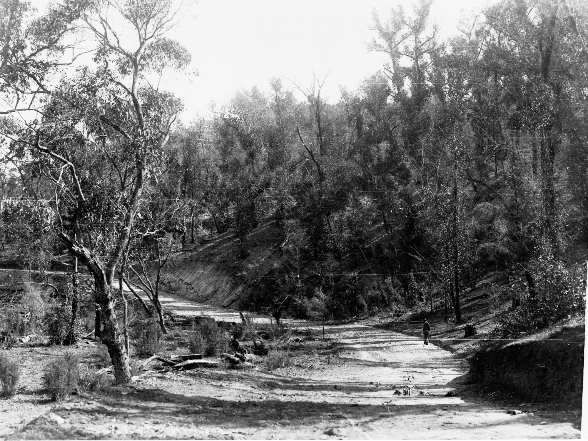 Road for Pipetrack, Millbrook Reservoir