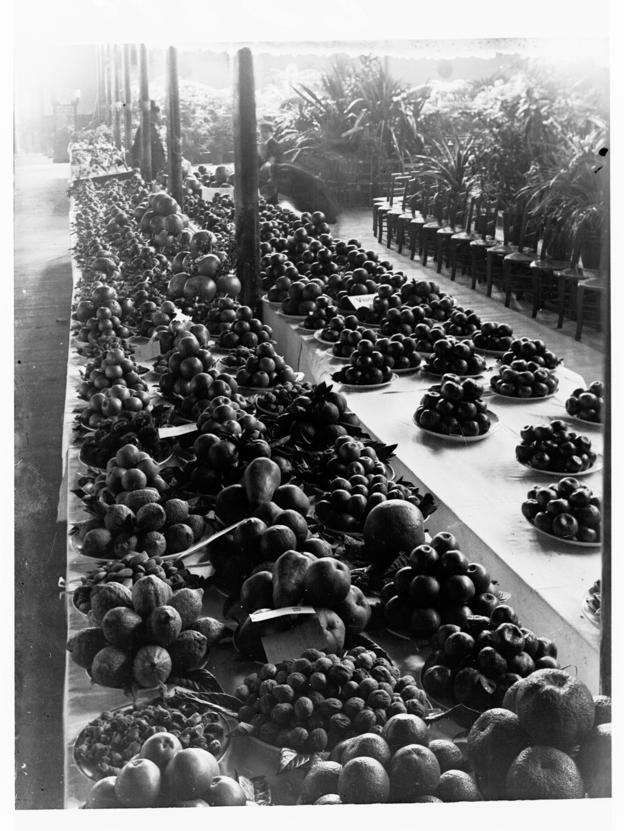 Fruit Exhibition, Royal Adelaide Show