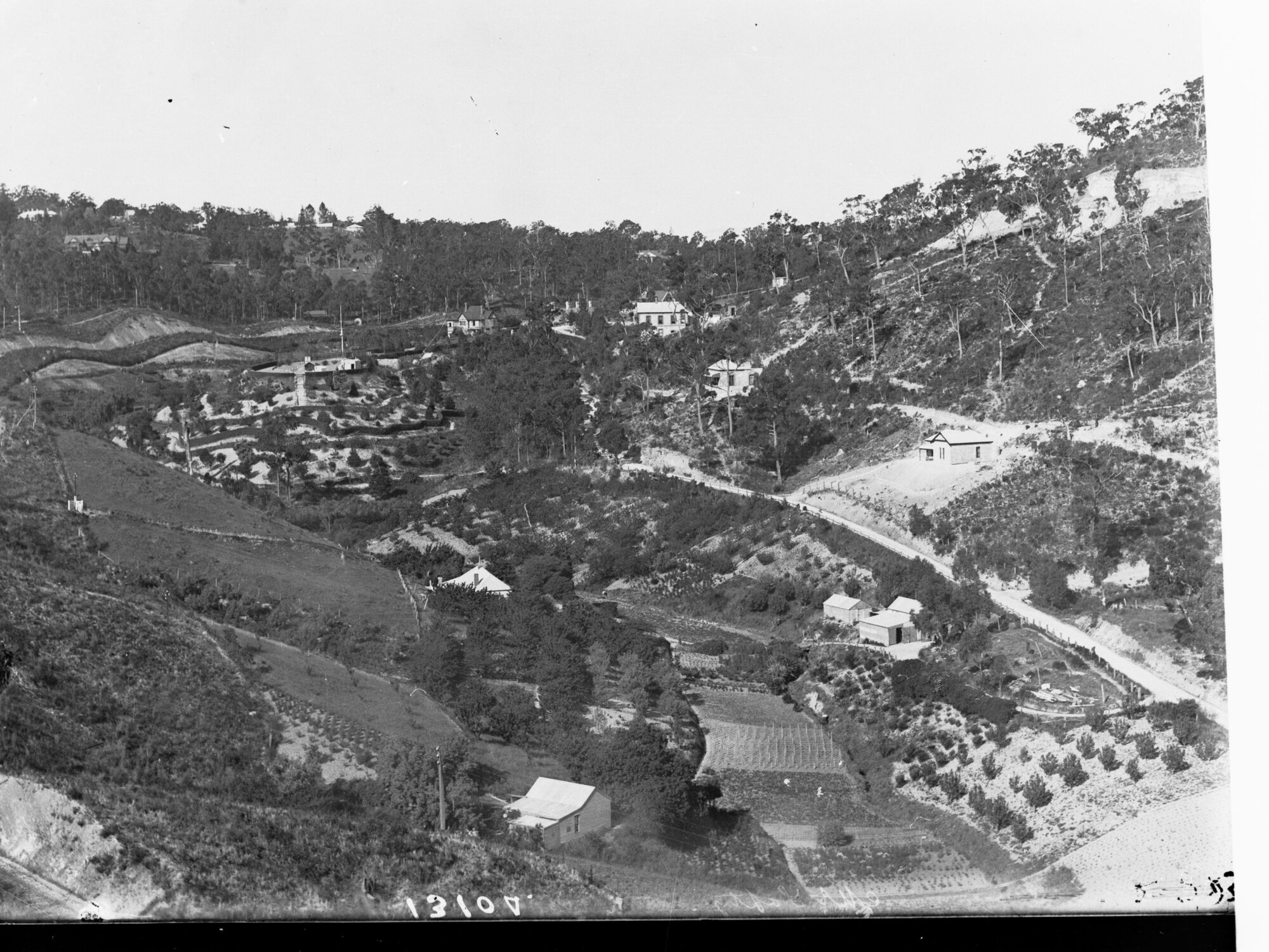 Mount Lofty Gardens