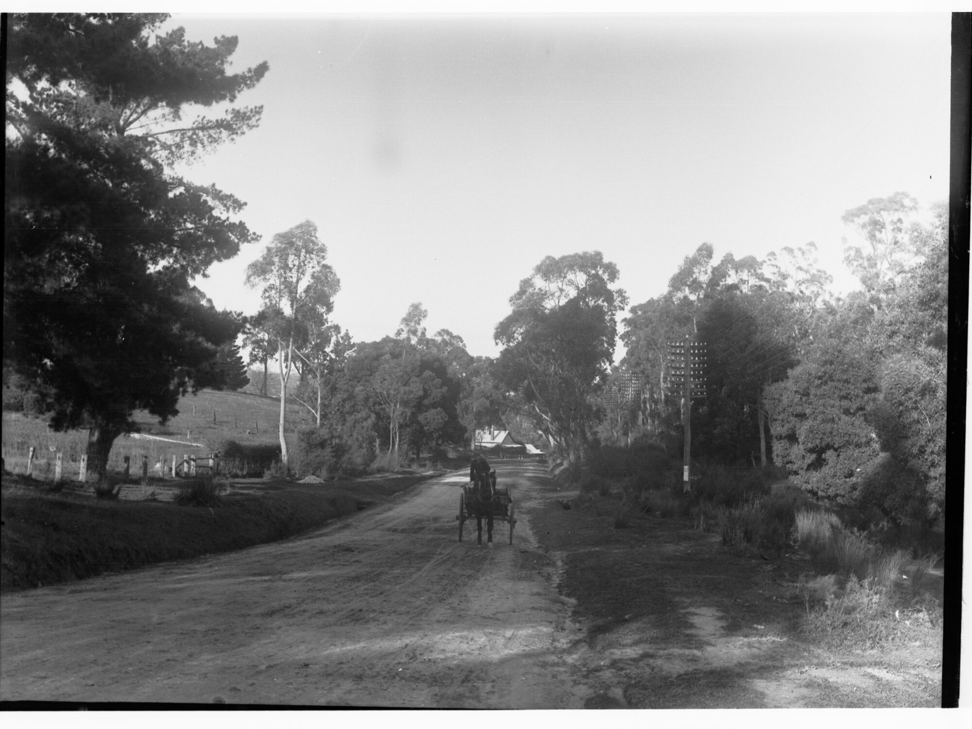 View in the Mount Lofty Ranges, Stirling