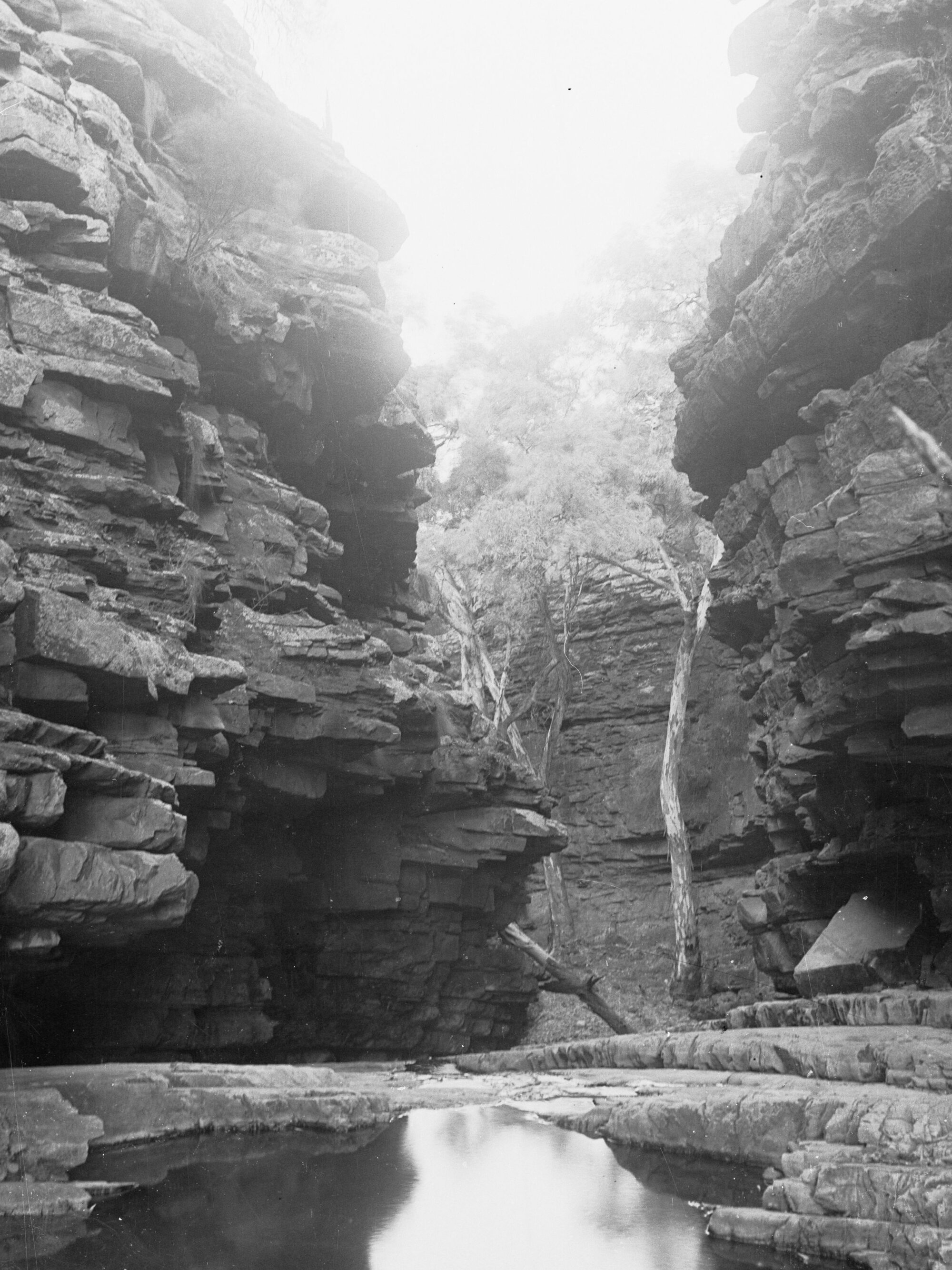 Ferguson's Gorge Flinders Ranges