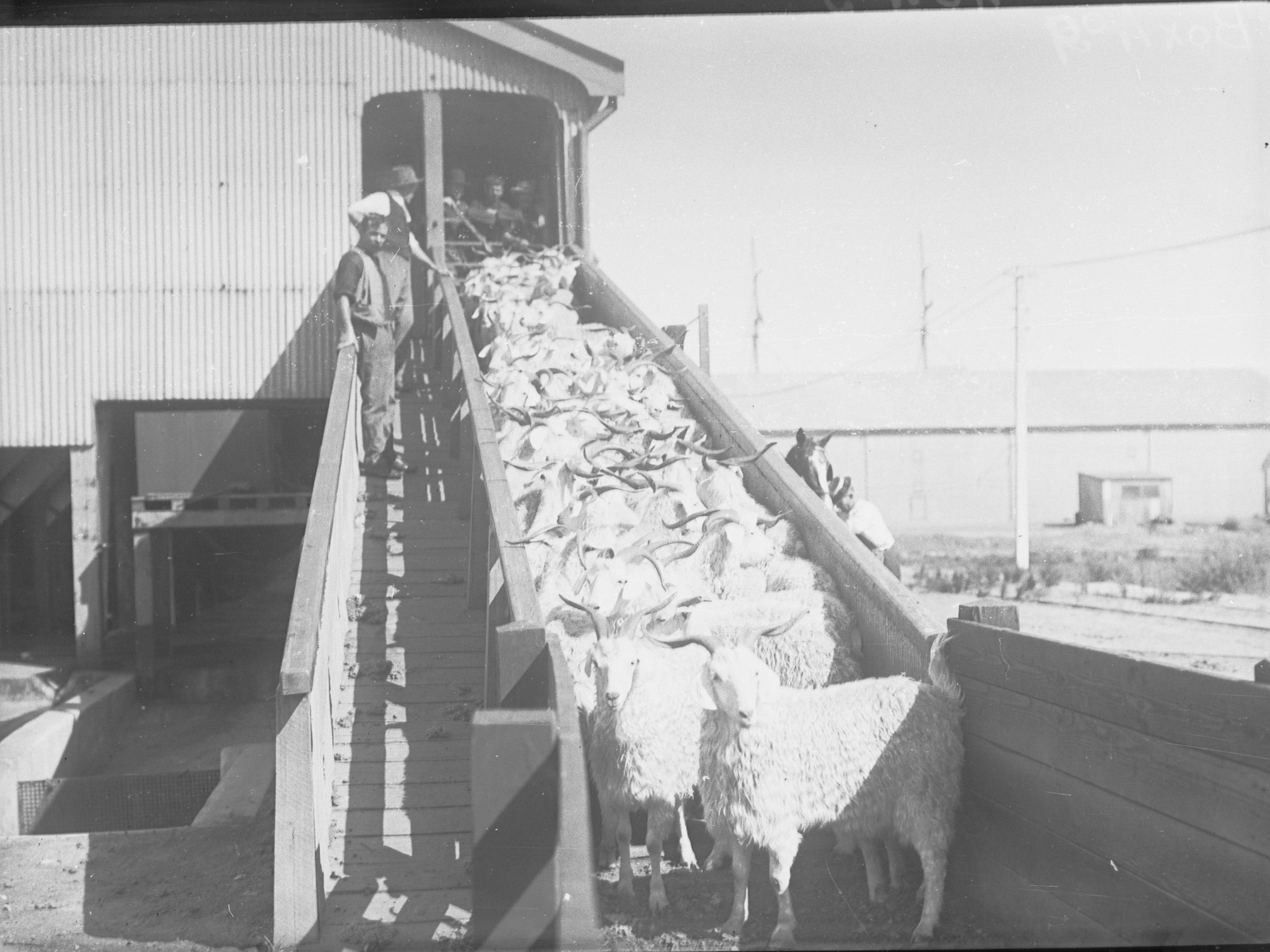 Port Adelaide Produce Department 