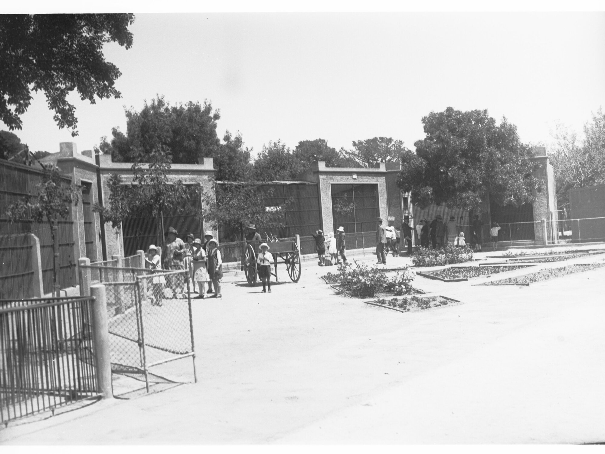  Scene at Adelaide Zoo, 1920s