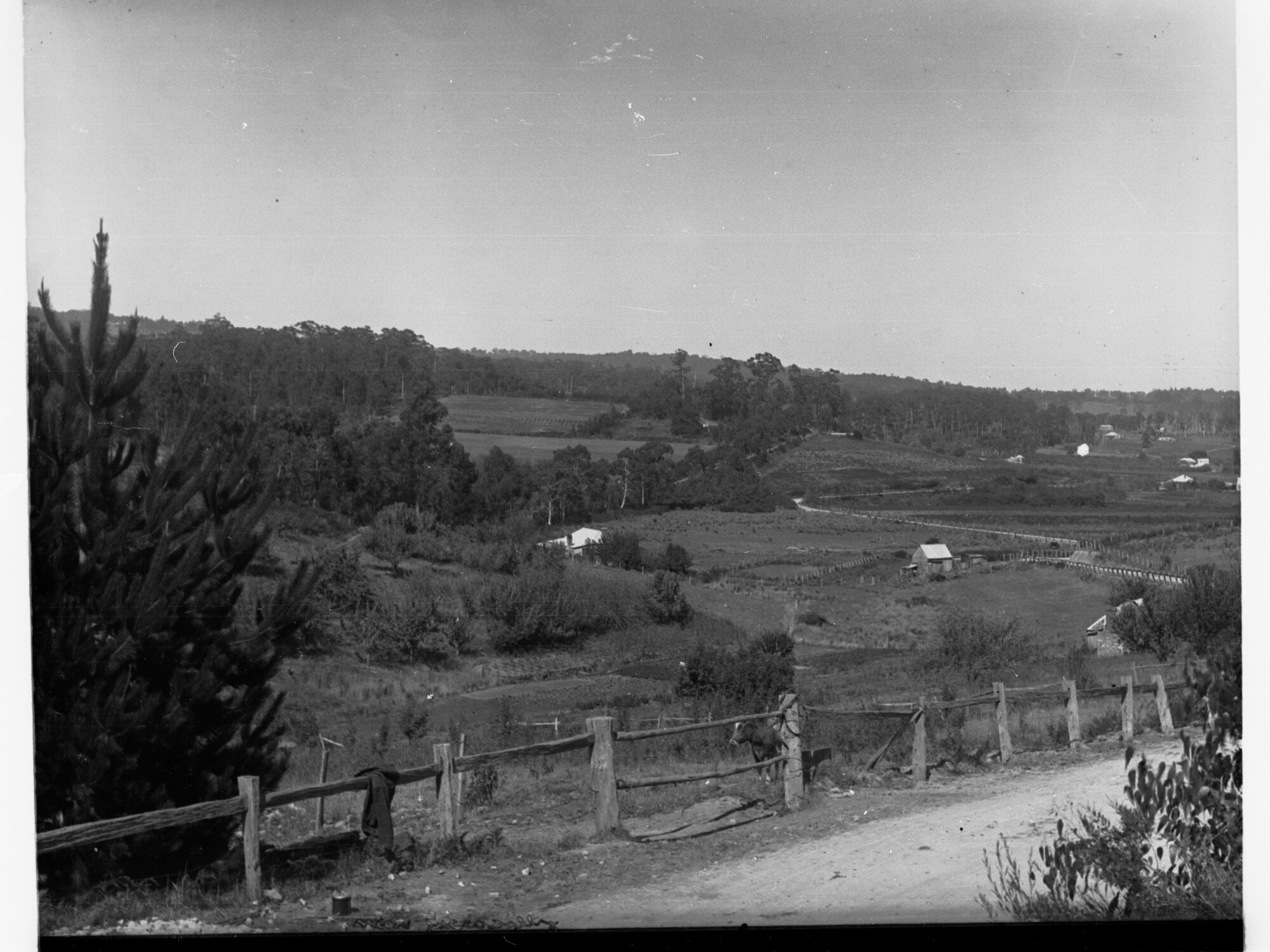 Farms Near Piccadilly