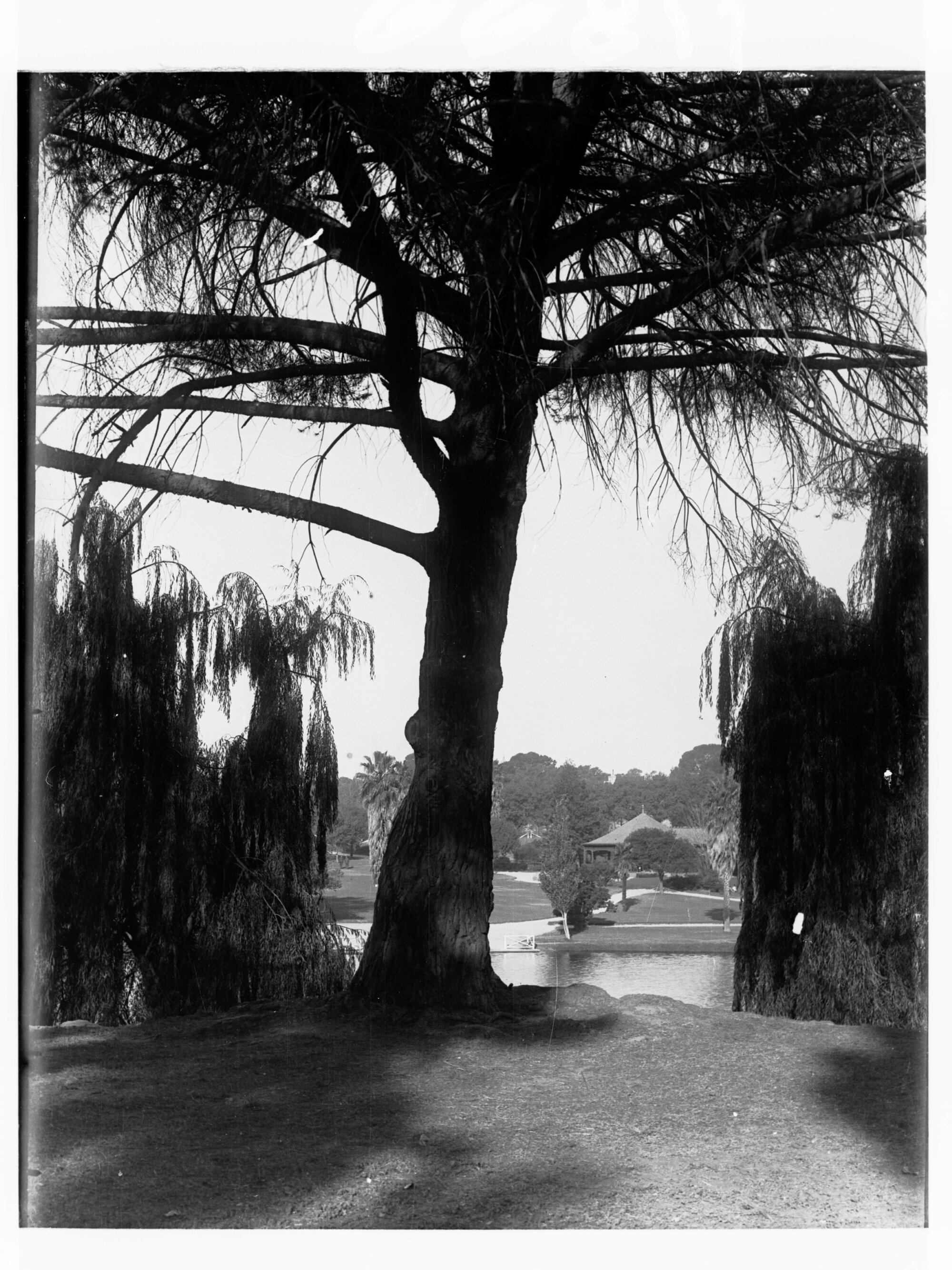 Park with river running through