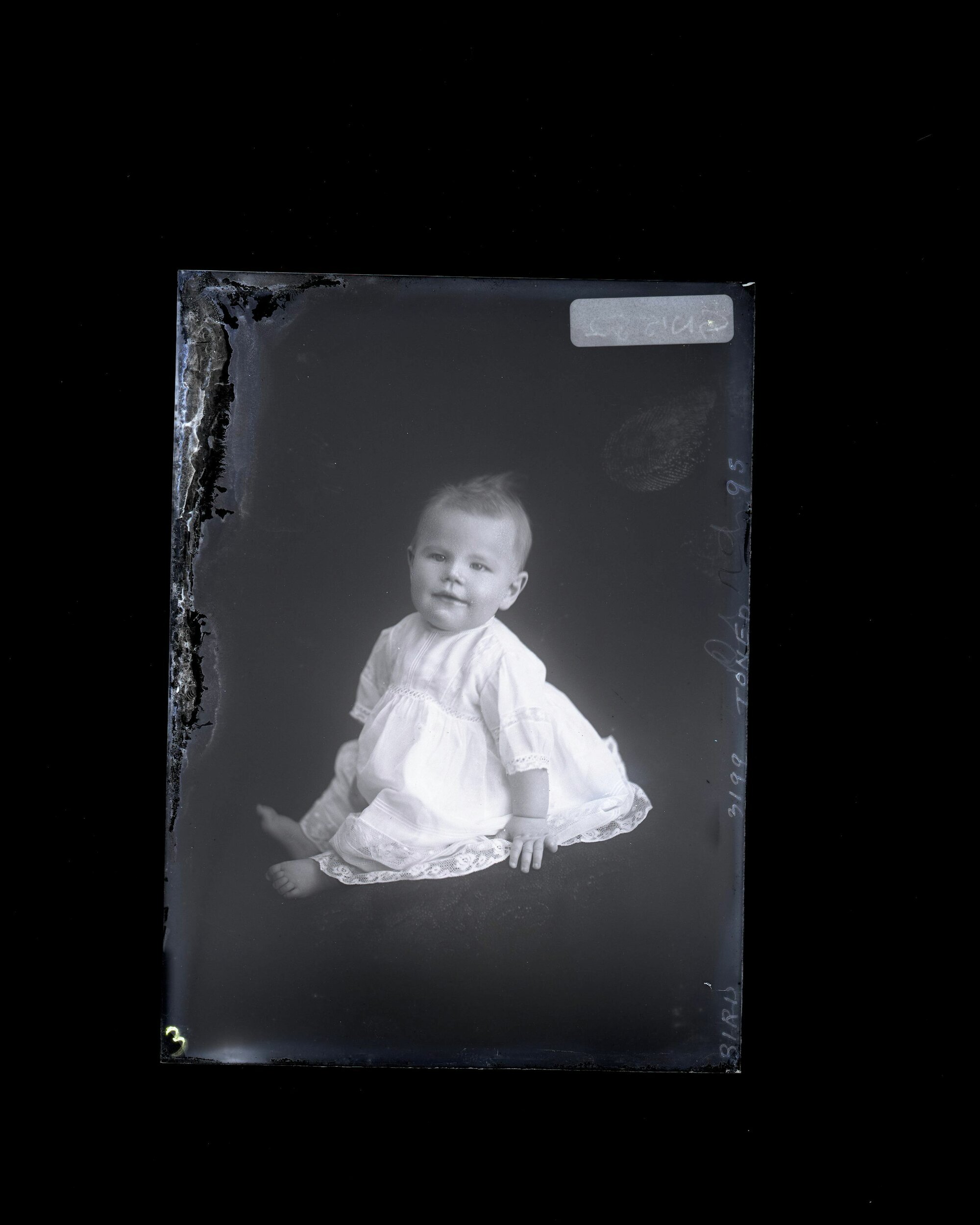 Child - Bird