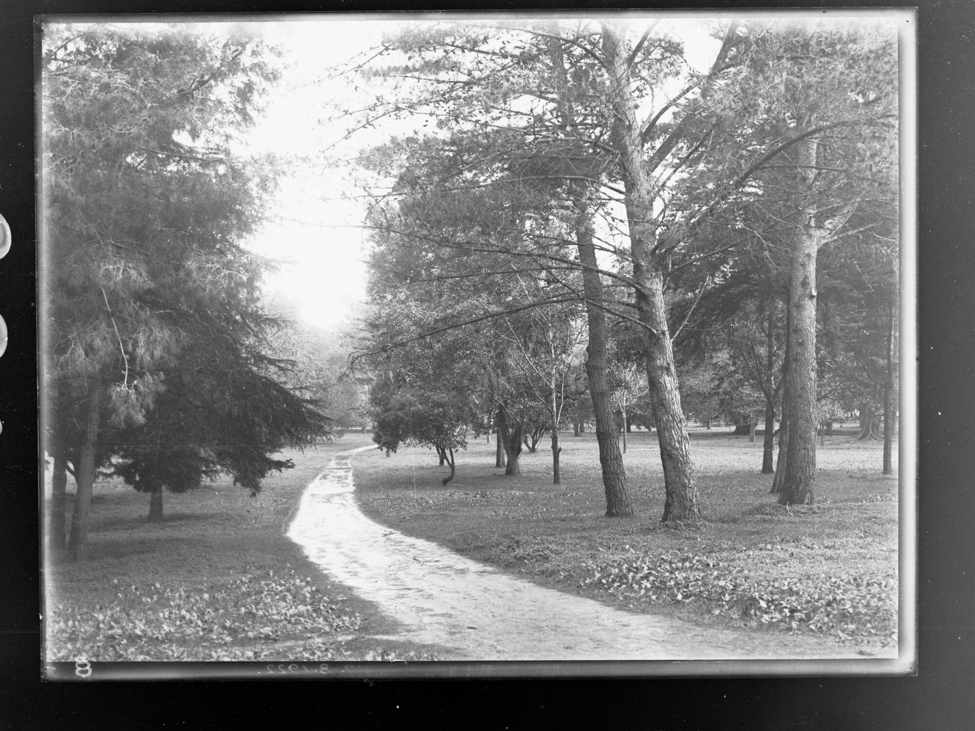 Park showing path and trees after heavy rains