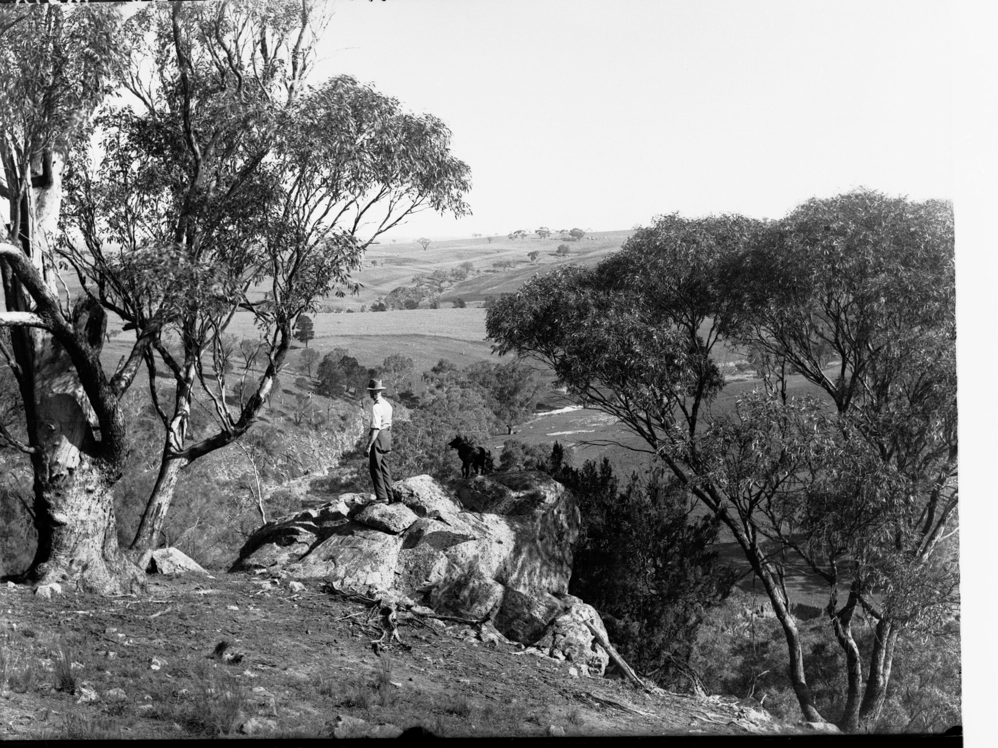 View at Turretfield
