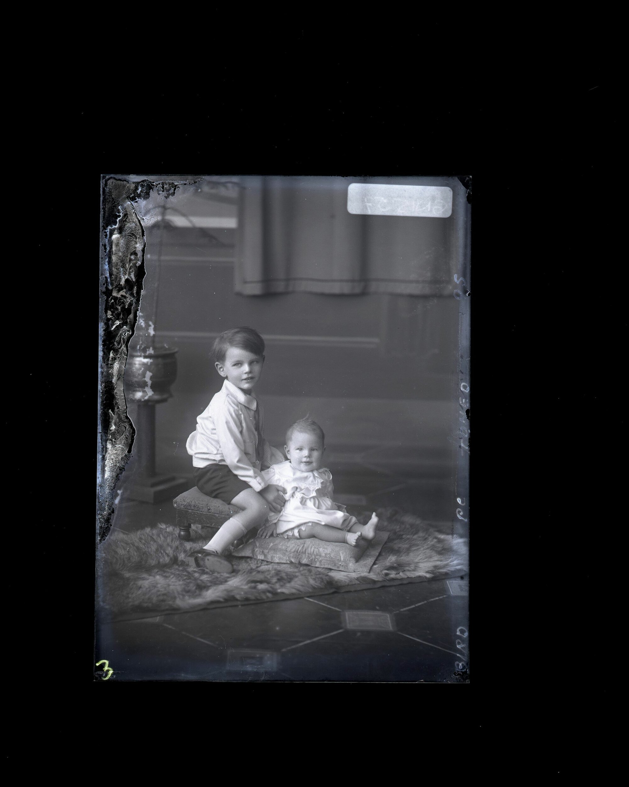 Children - Bird