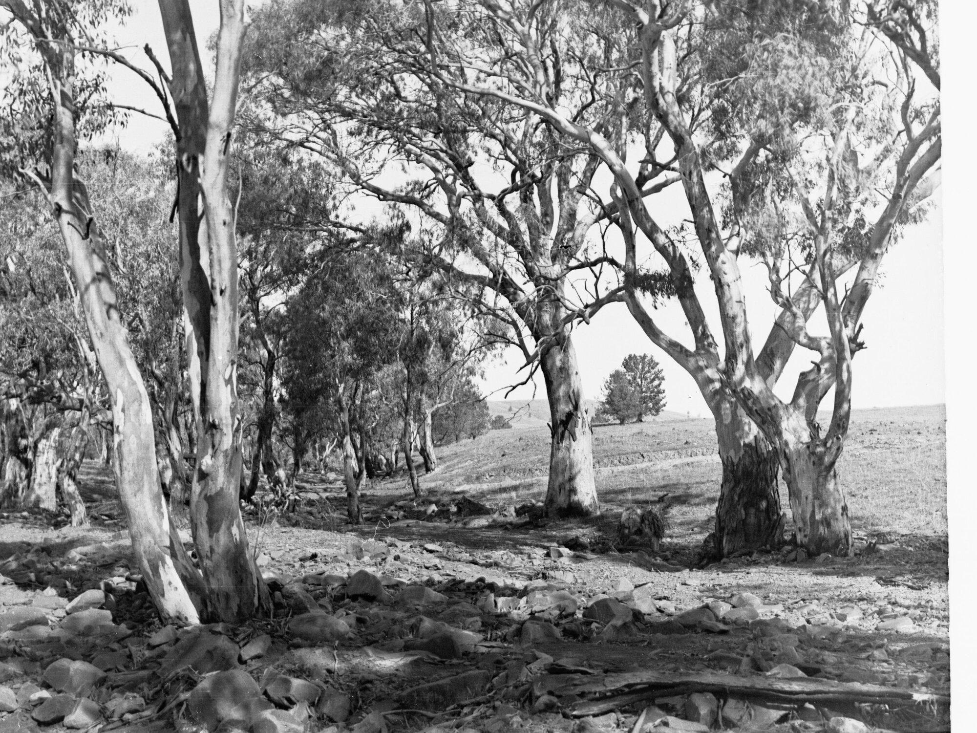 View at Oraparinna Flinders Ranges