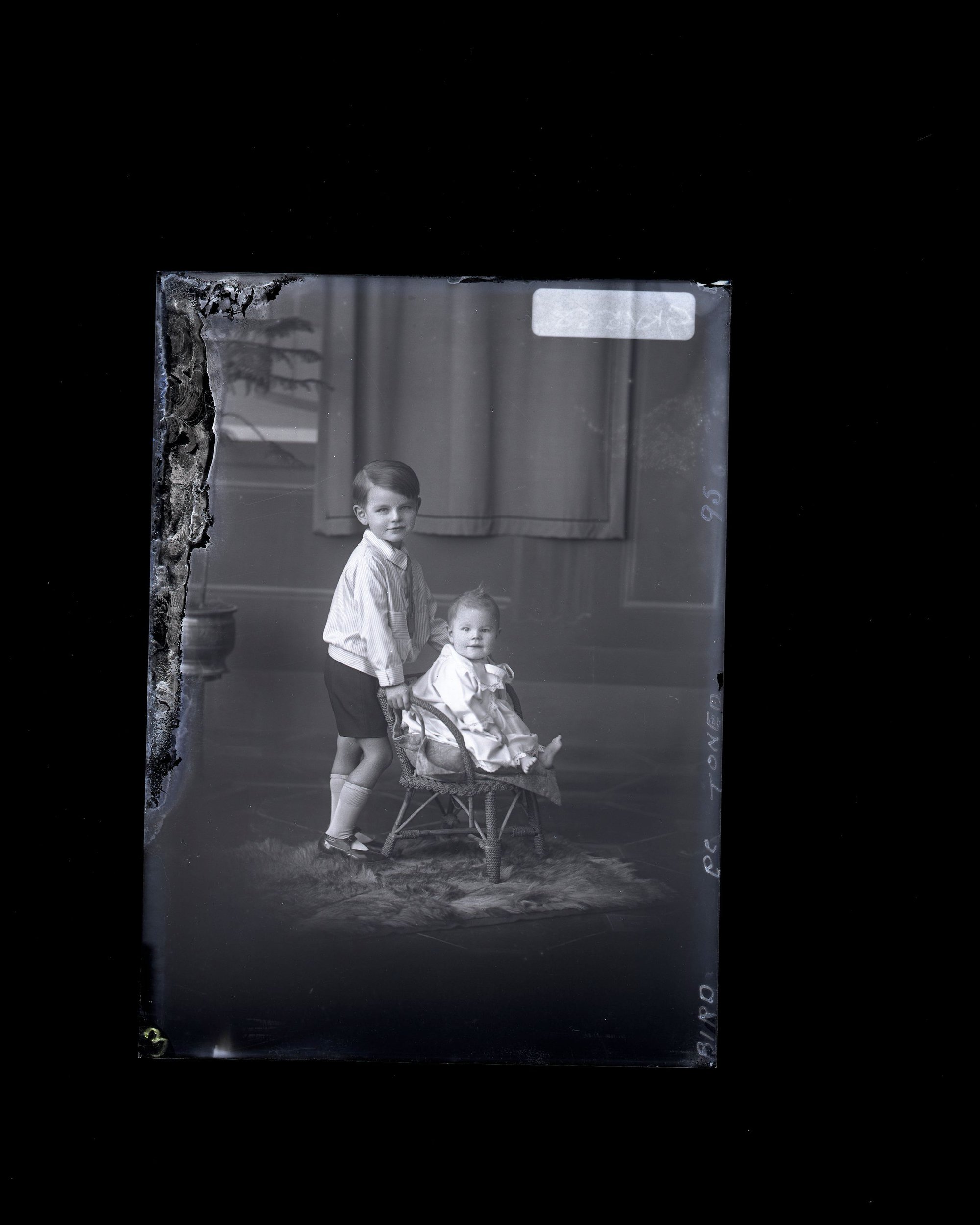 Children - Bird