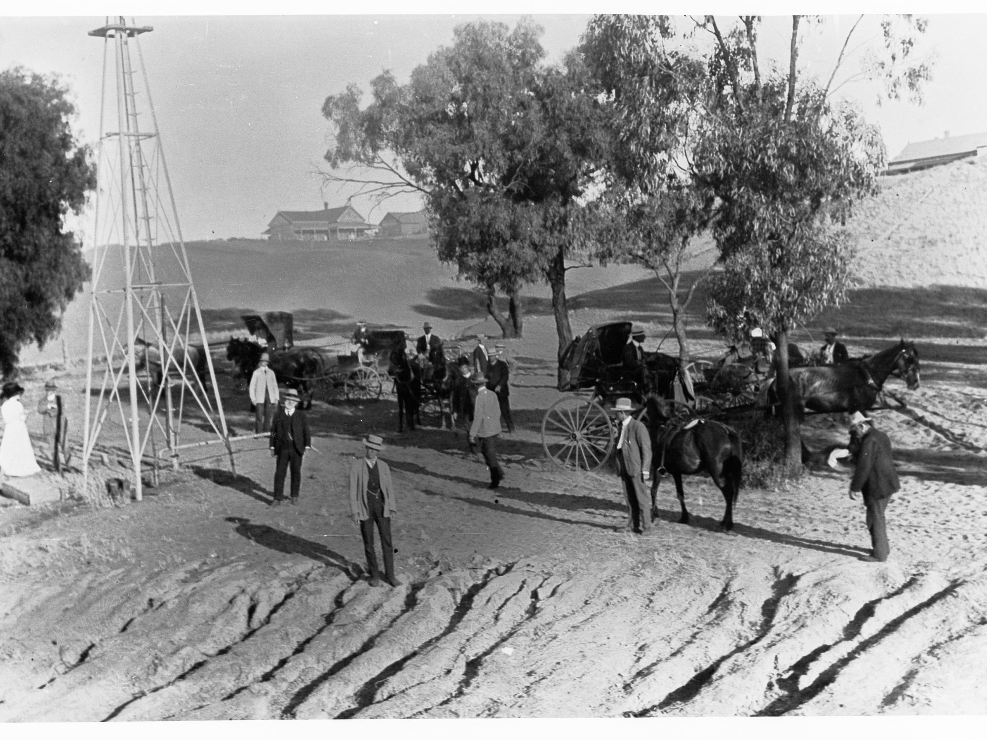 Loxton showing horses and buggies