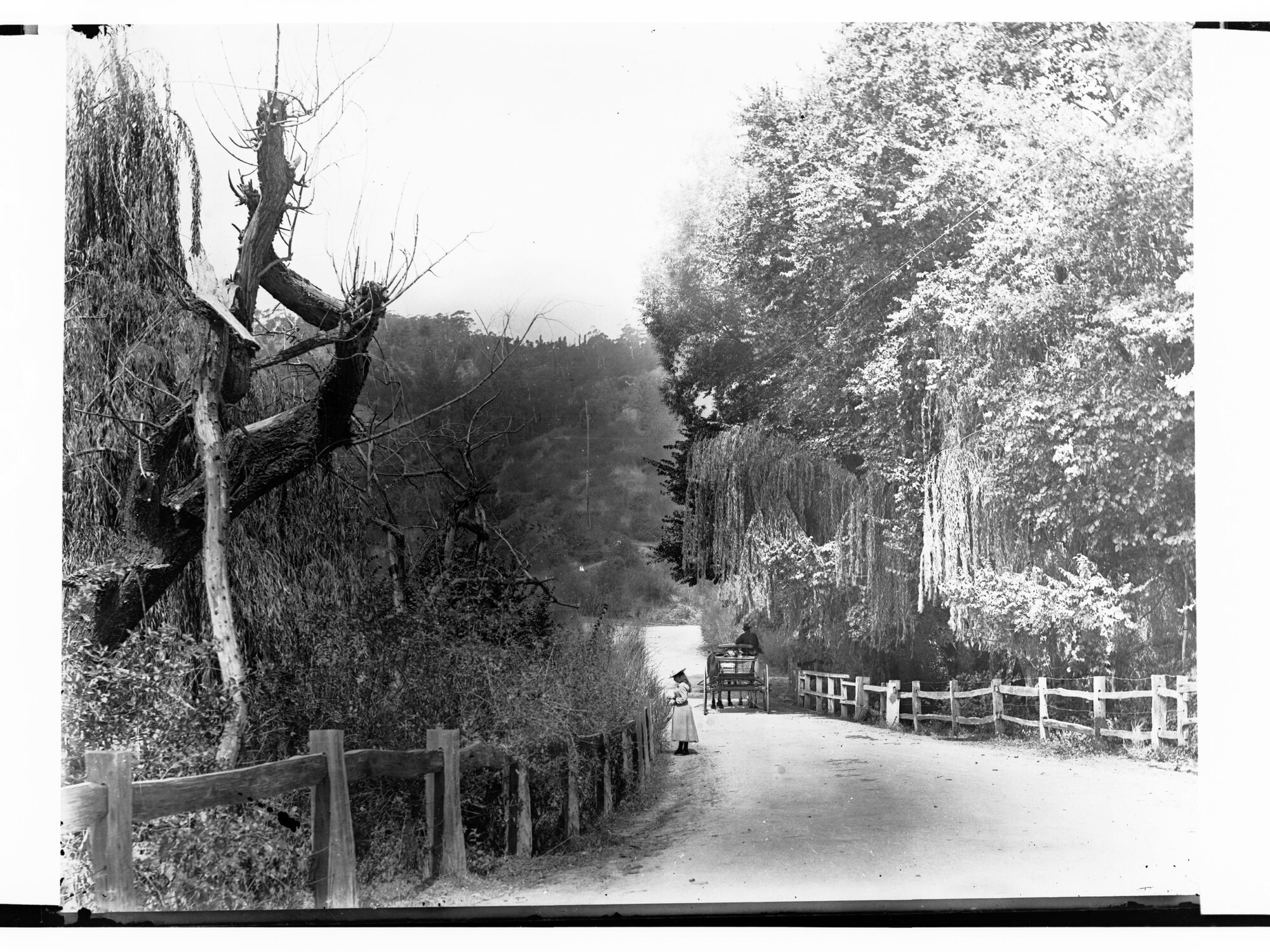 Norton Summit Road