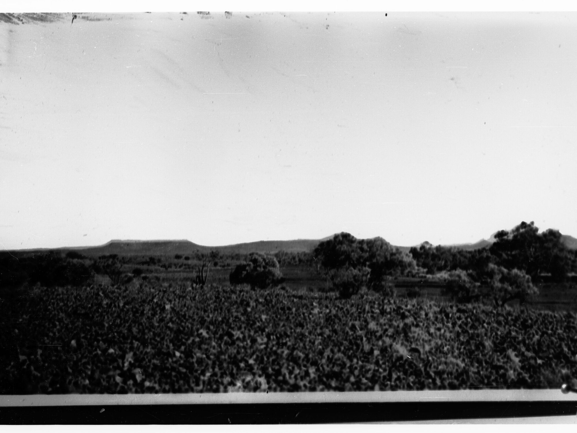 Bush Scene, Northern Territory