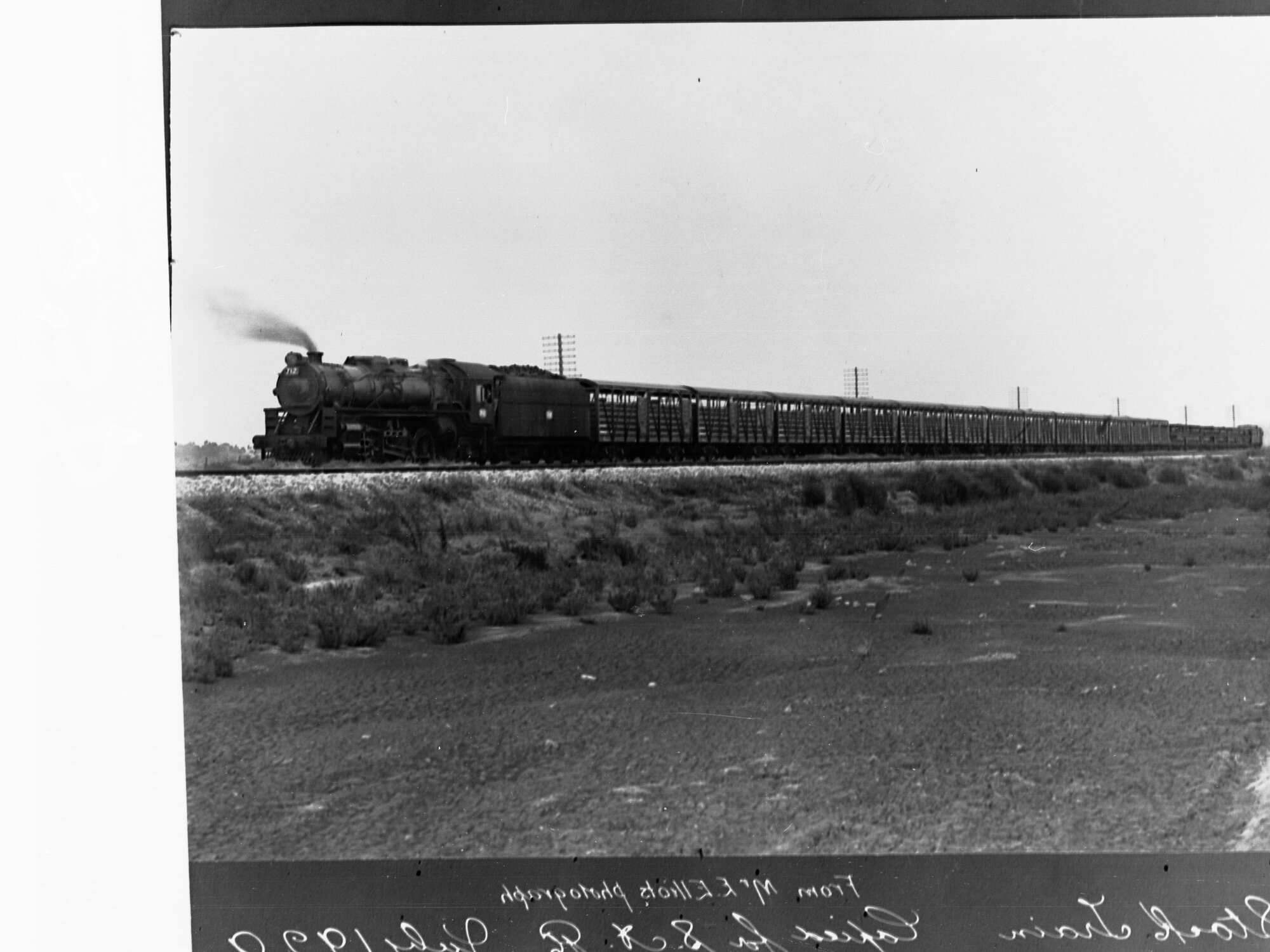 Stock Train at Dry Creek