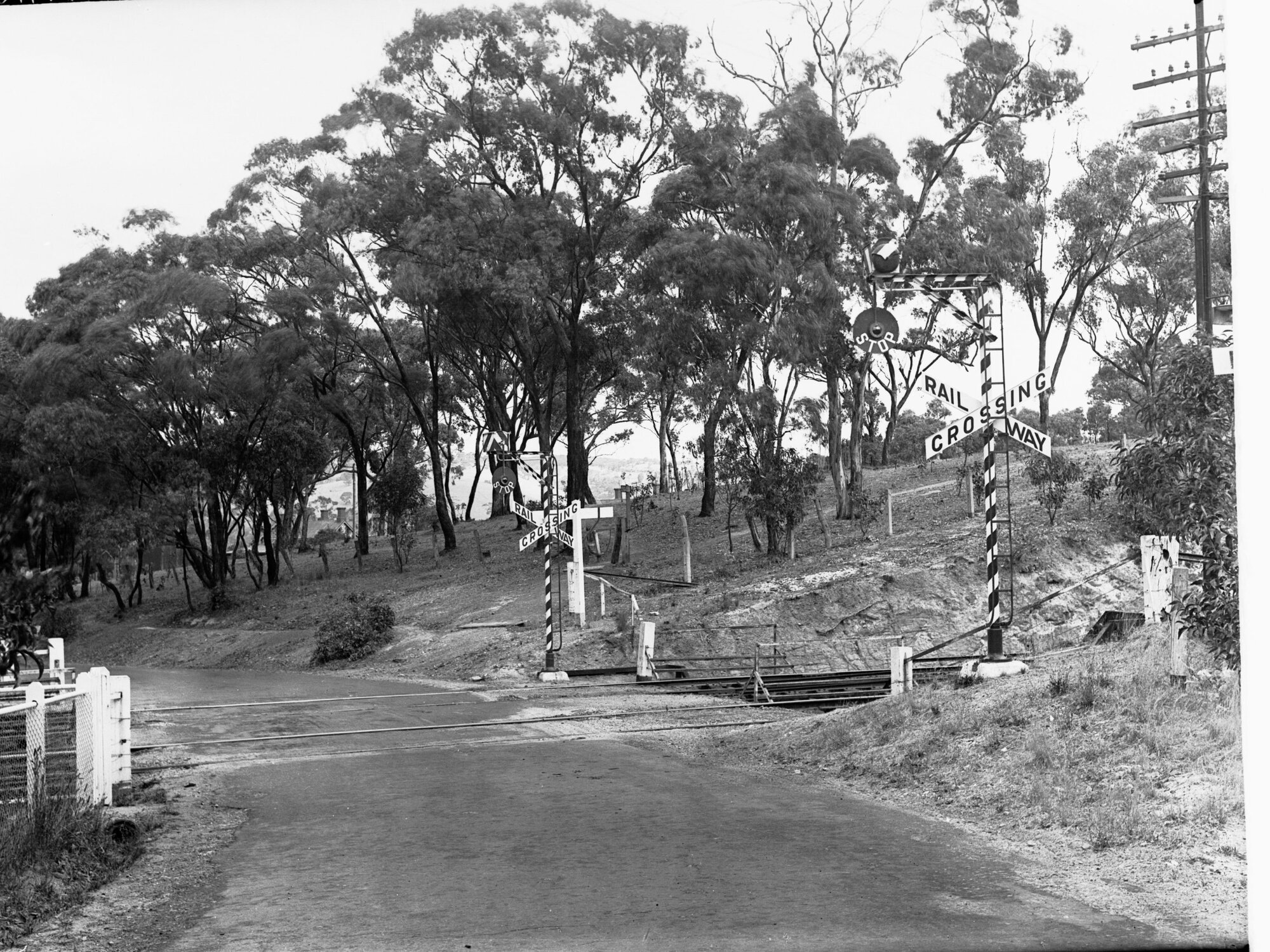 Road Crossing at Blackwood