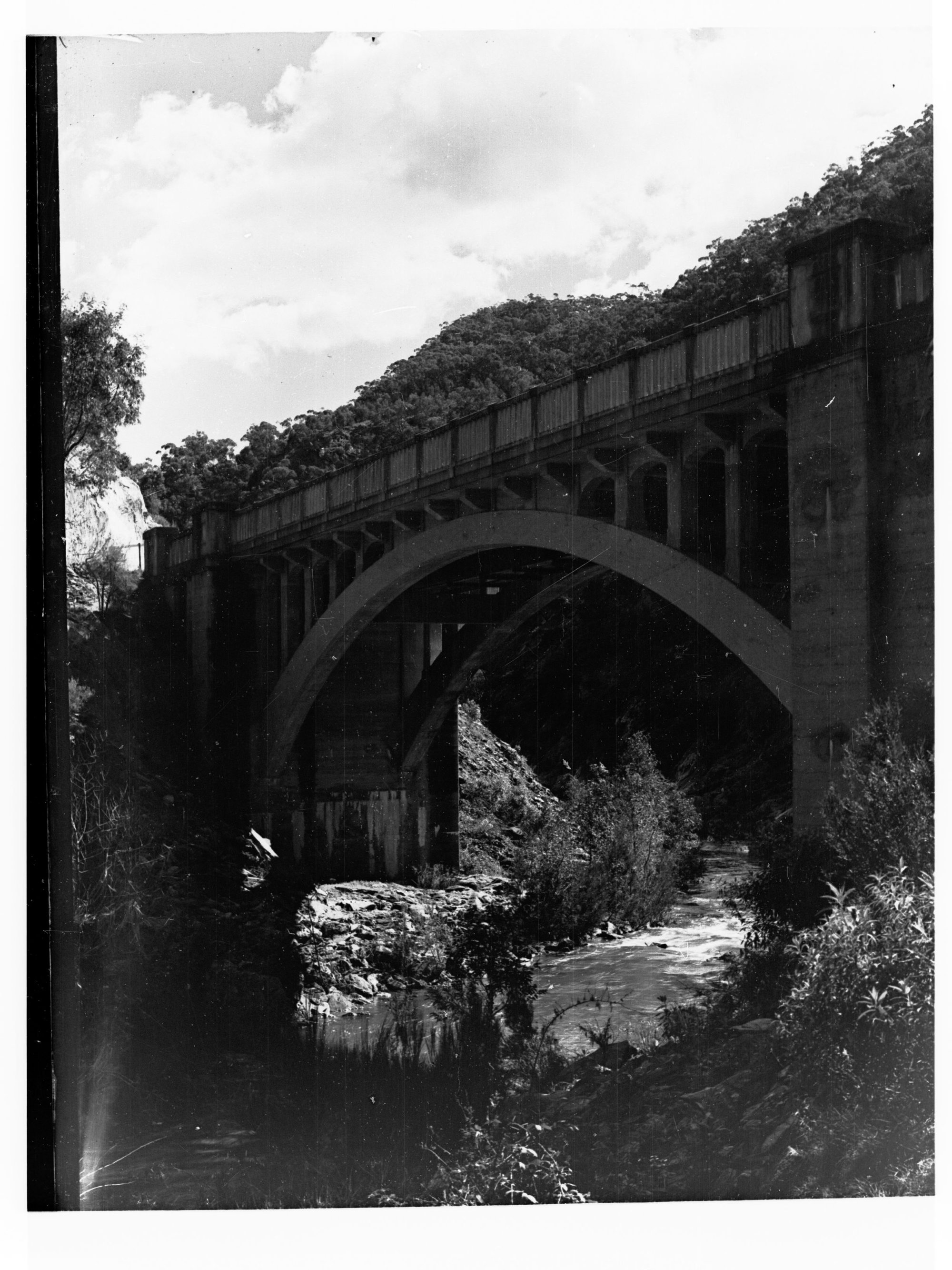 Torren's Gorge Bridge