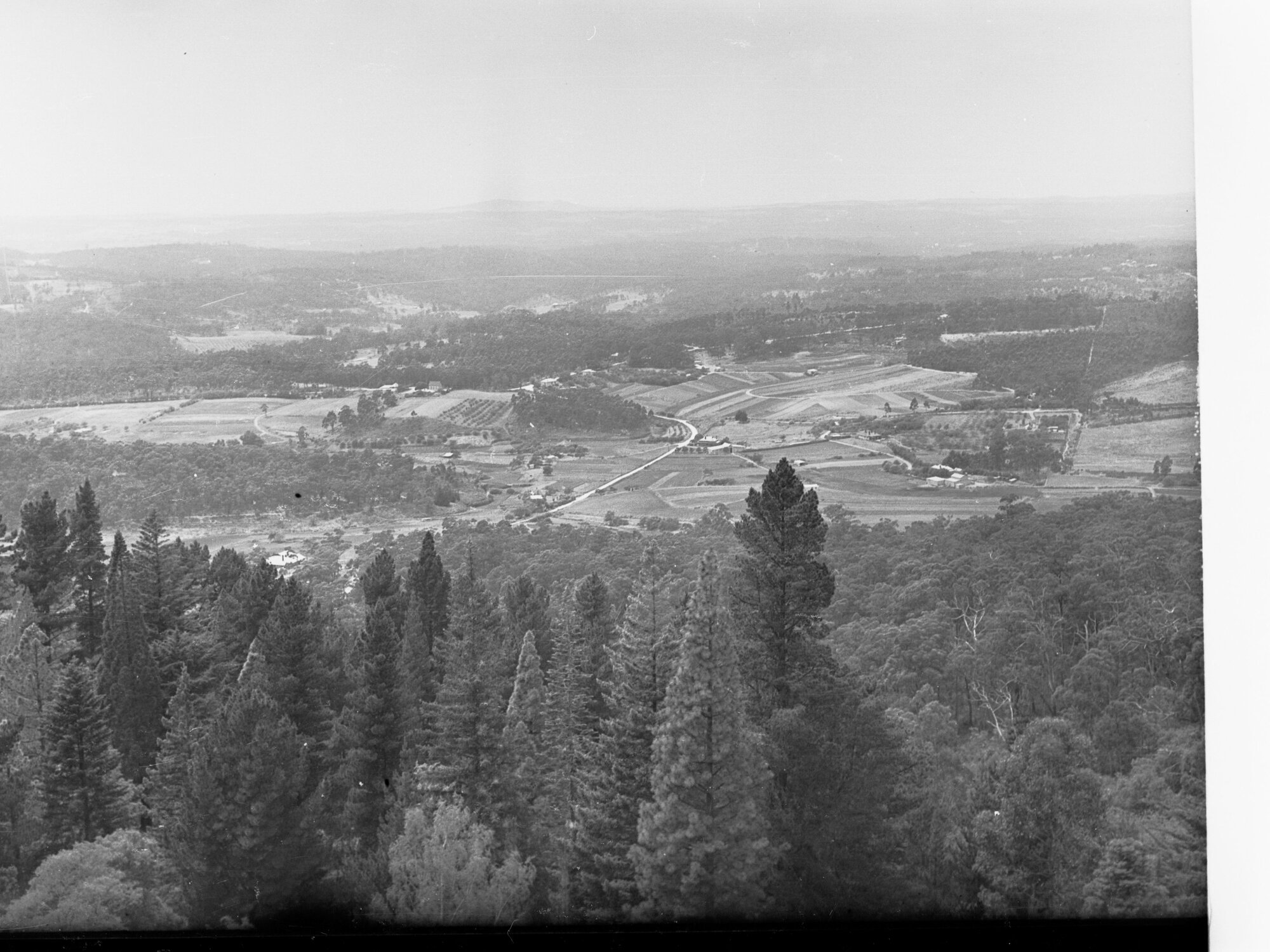 Piccadilly from 'Carminow', near Mount Lofty