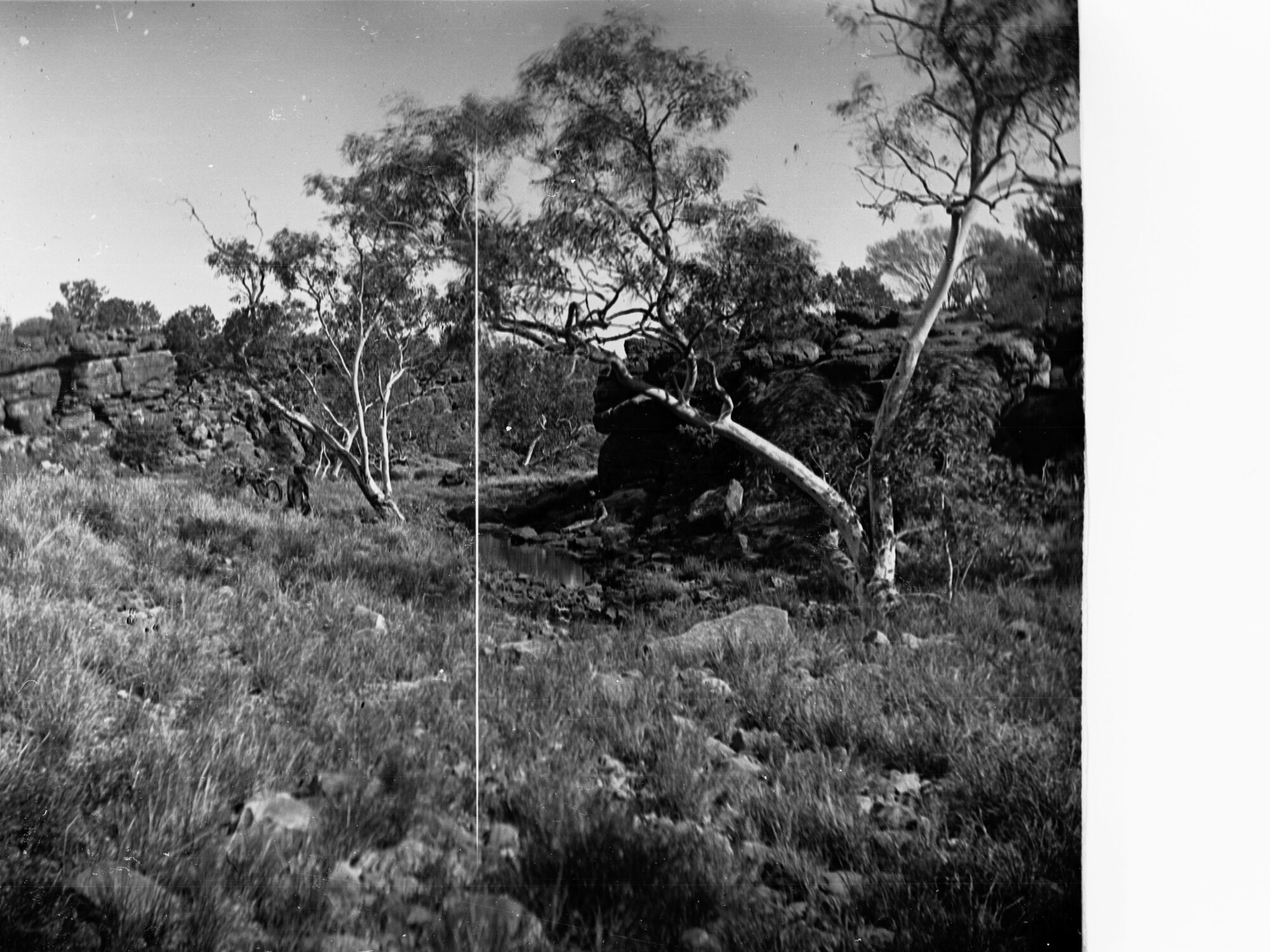 Wa Wee Waterhole Elder Expedition