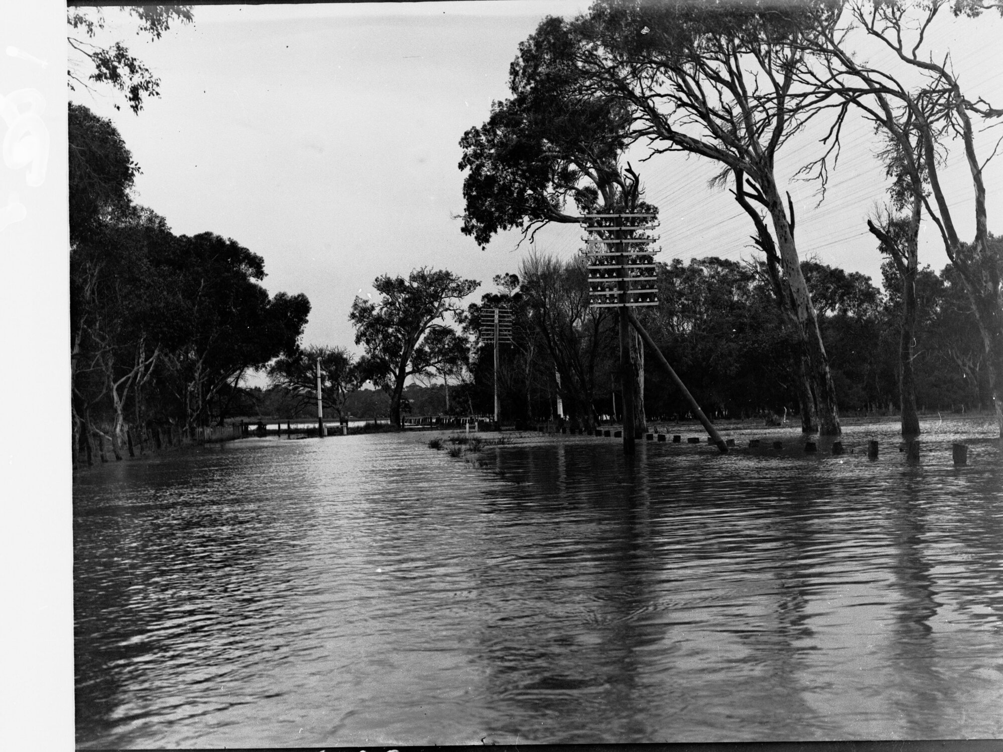 Flooding in Adelaide 1917