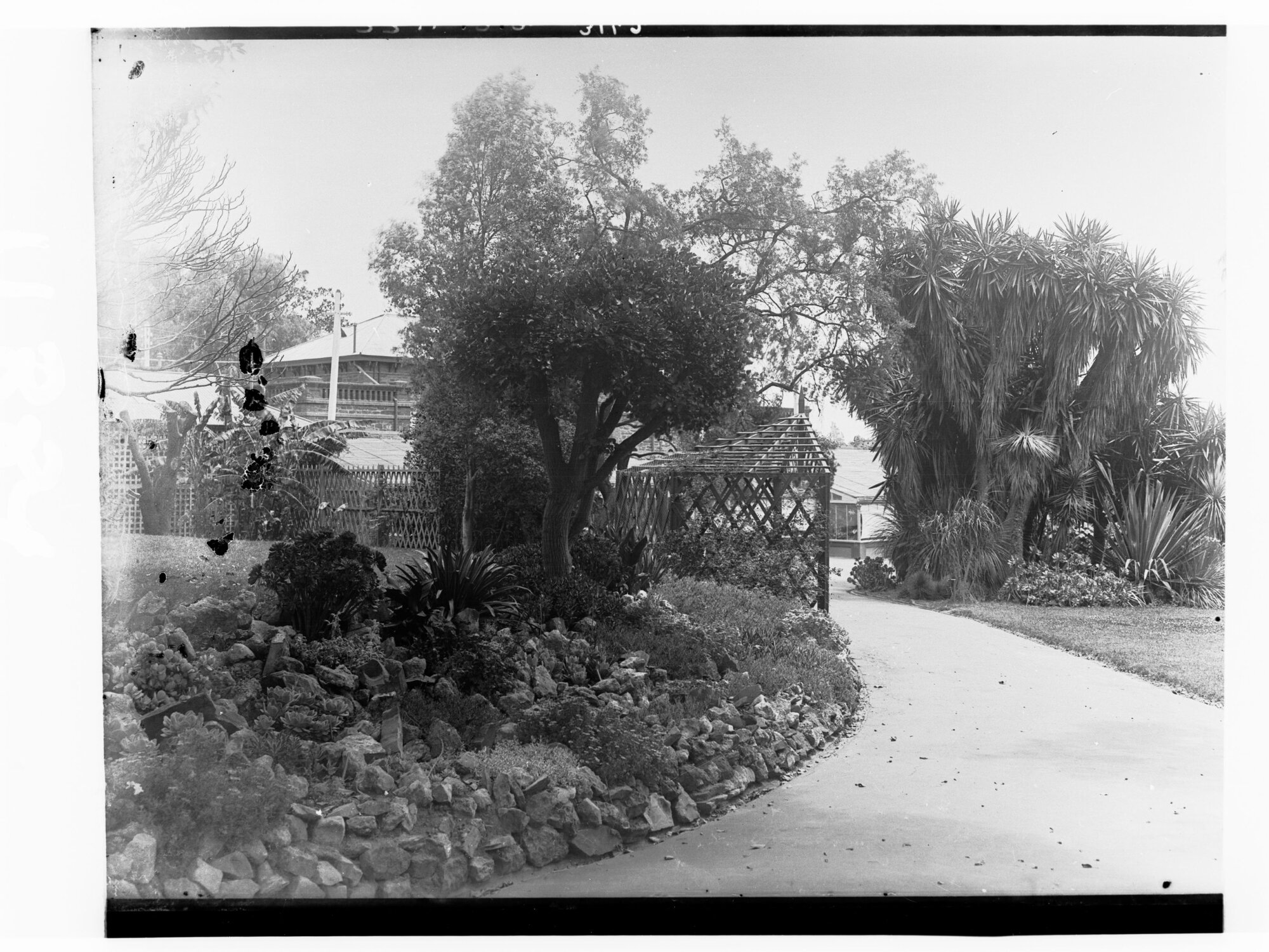 Botanic Gardens shwoing hot house