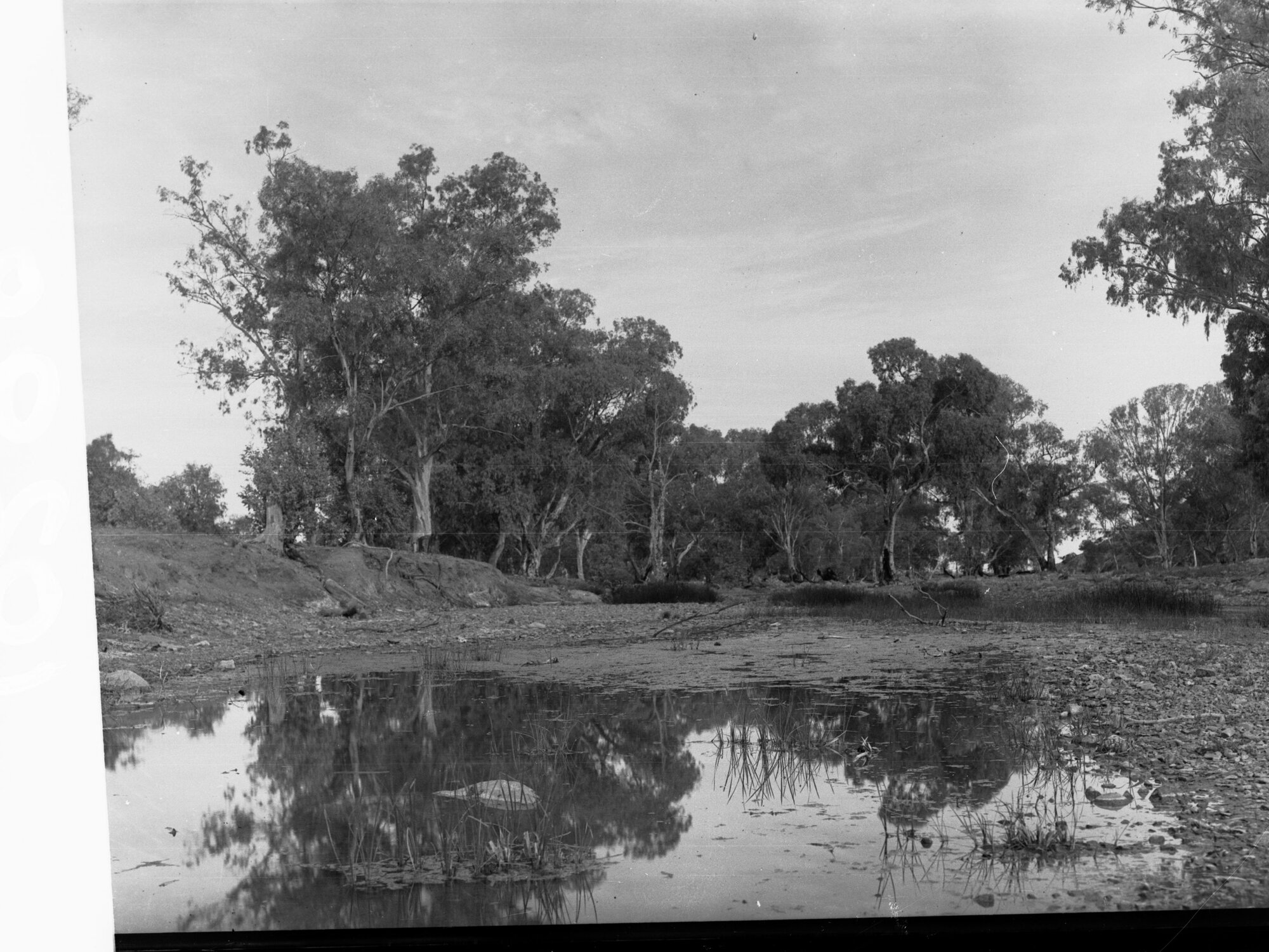 Nepowie Creek