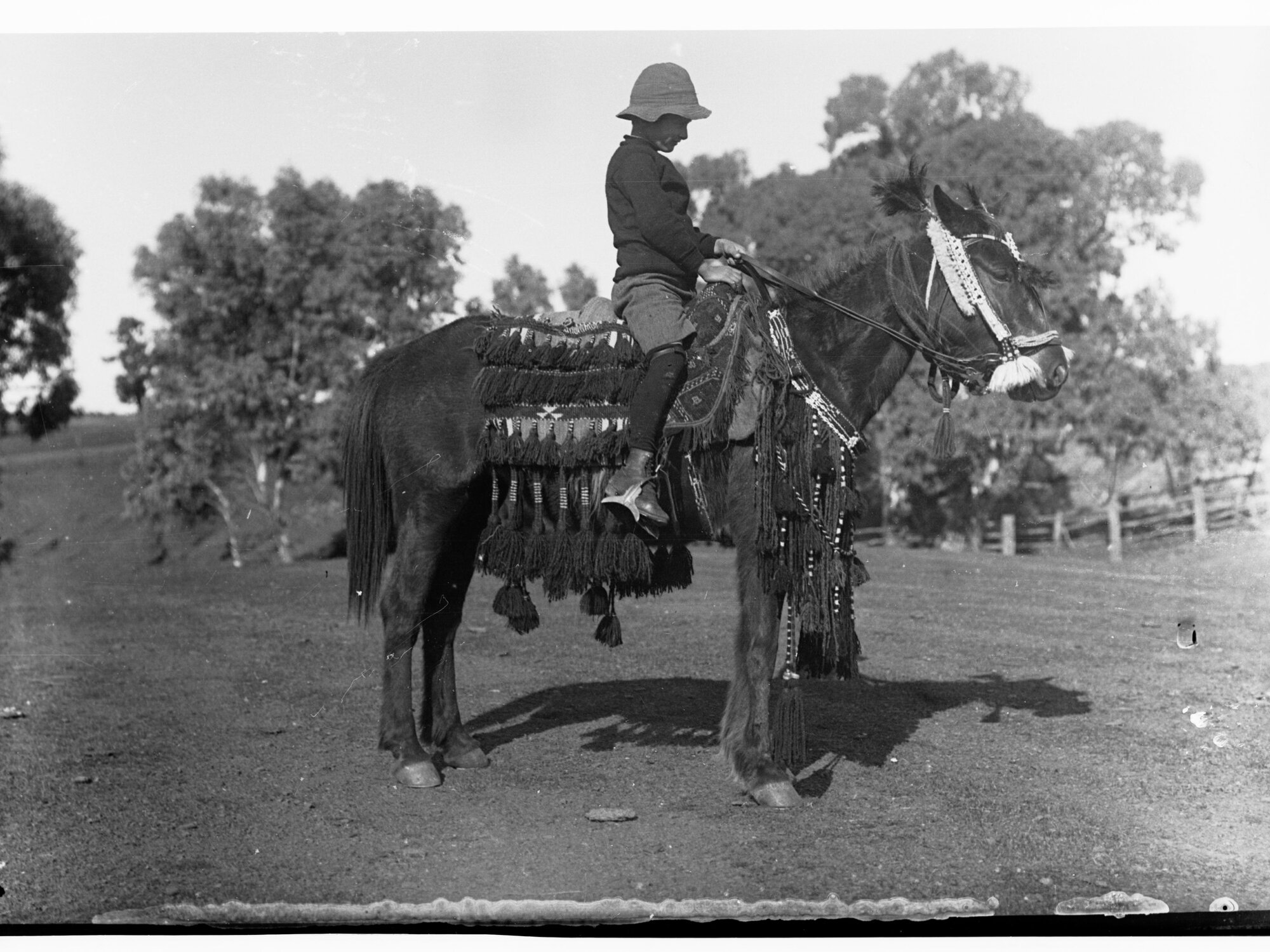 Child on horse