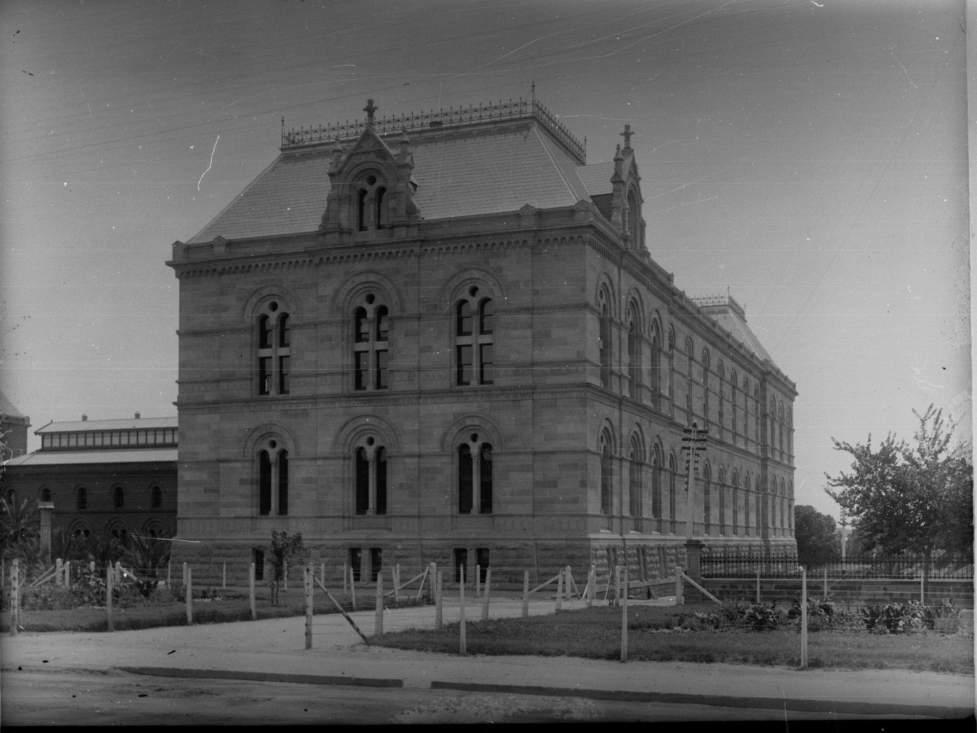 South Australian Museum on North Terrace