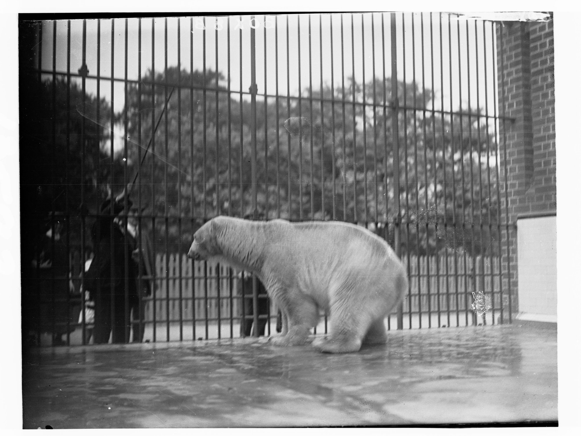 Adelaide Zoo