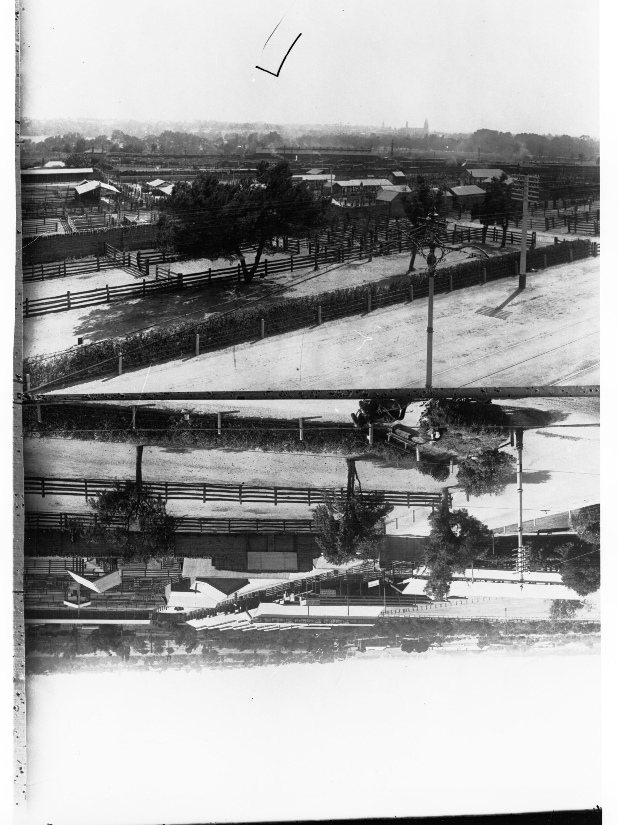Old Sale Yards, North Terrace, Adelaide