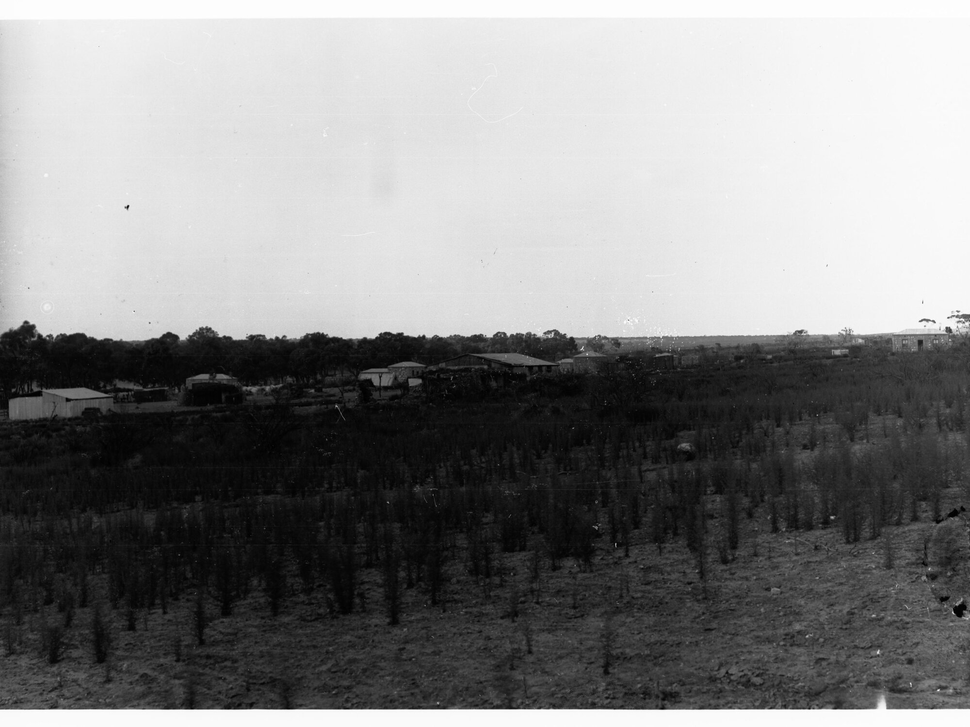 Rural Land With a Few Houses in the Back - Ground Farm Buildings