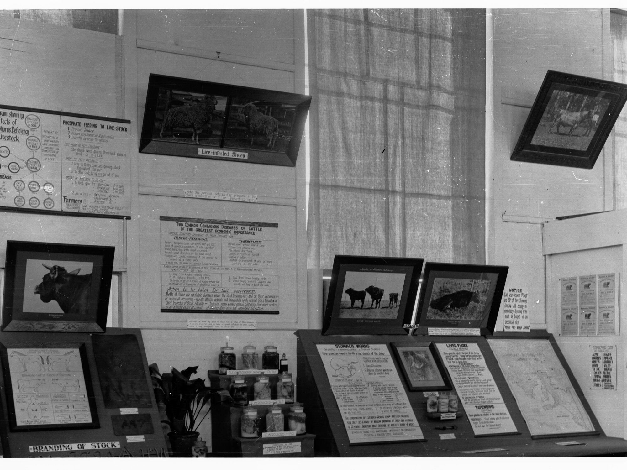 Royal Adelaide Show, c. 1928