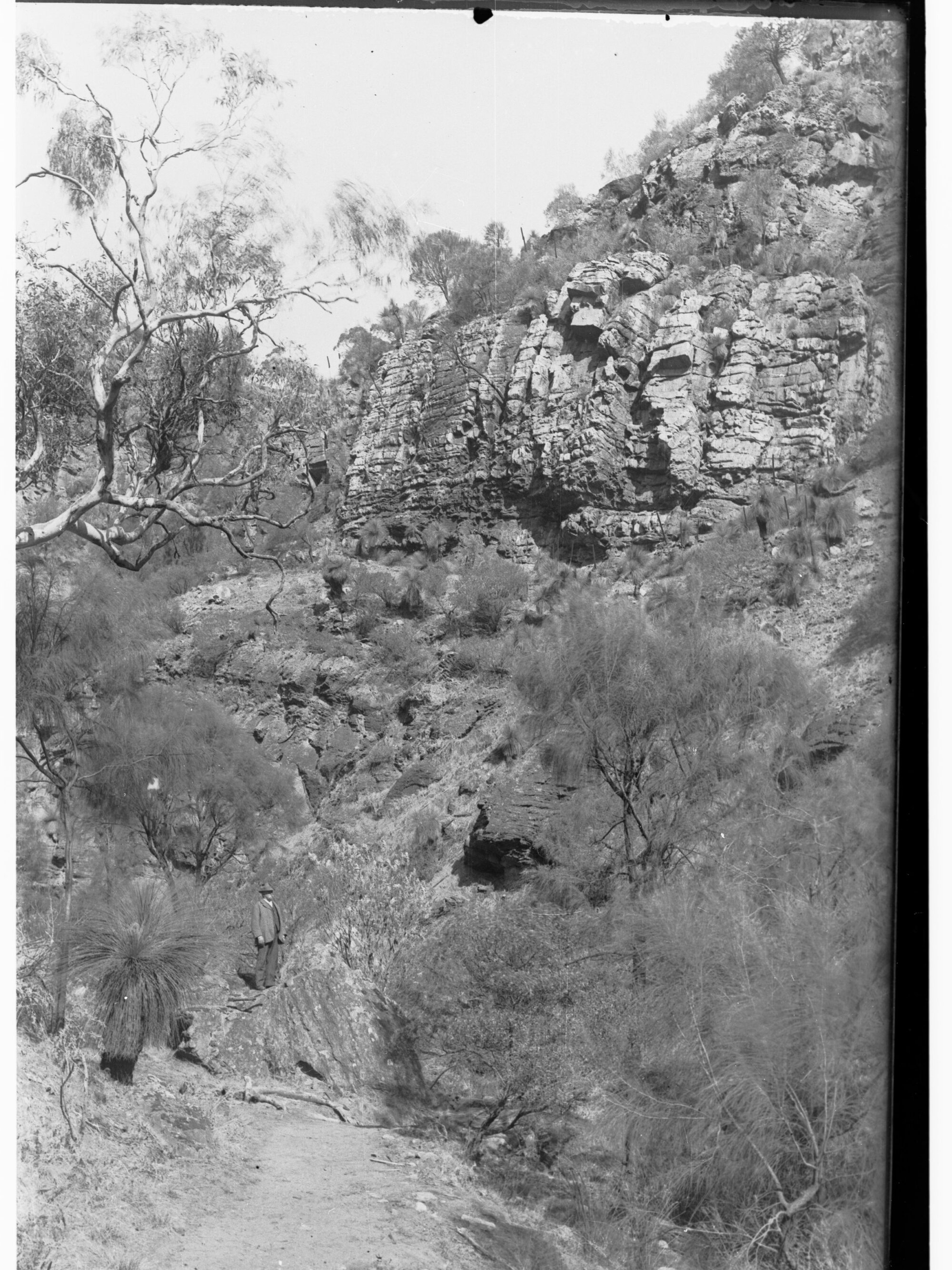 Morialta Falls