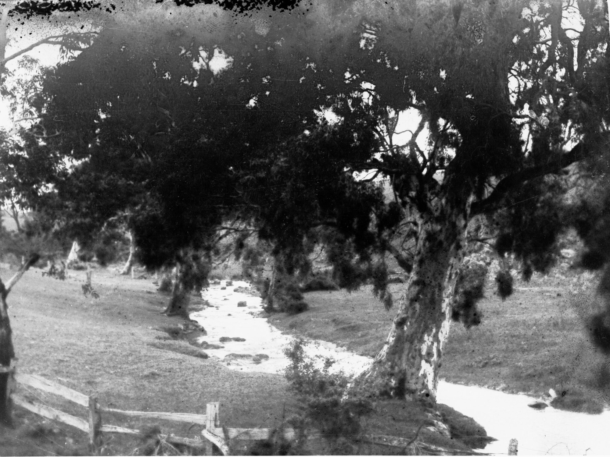 South Para River, Gawler